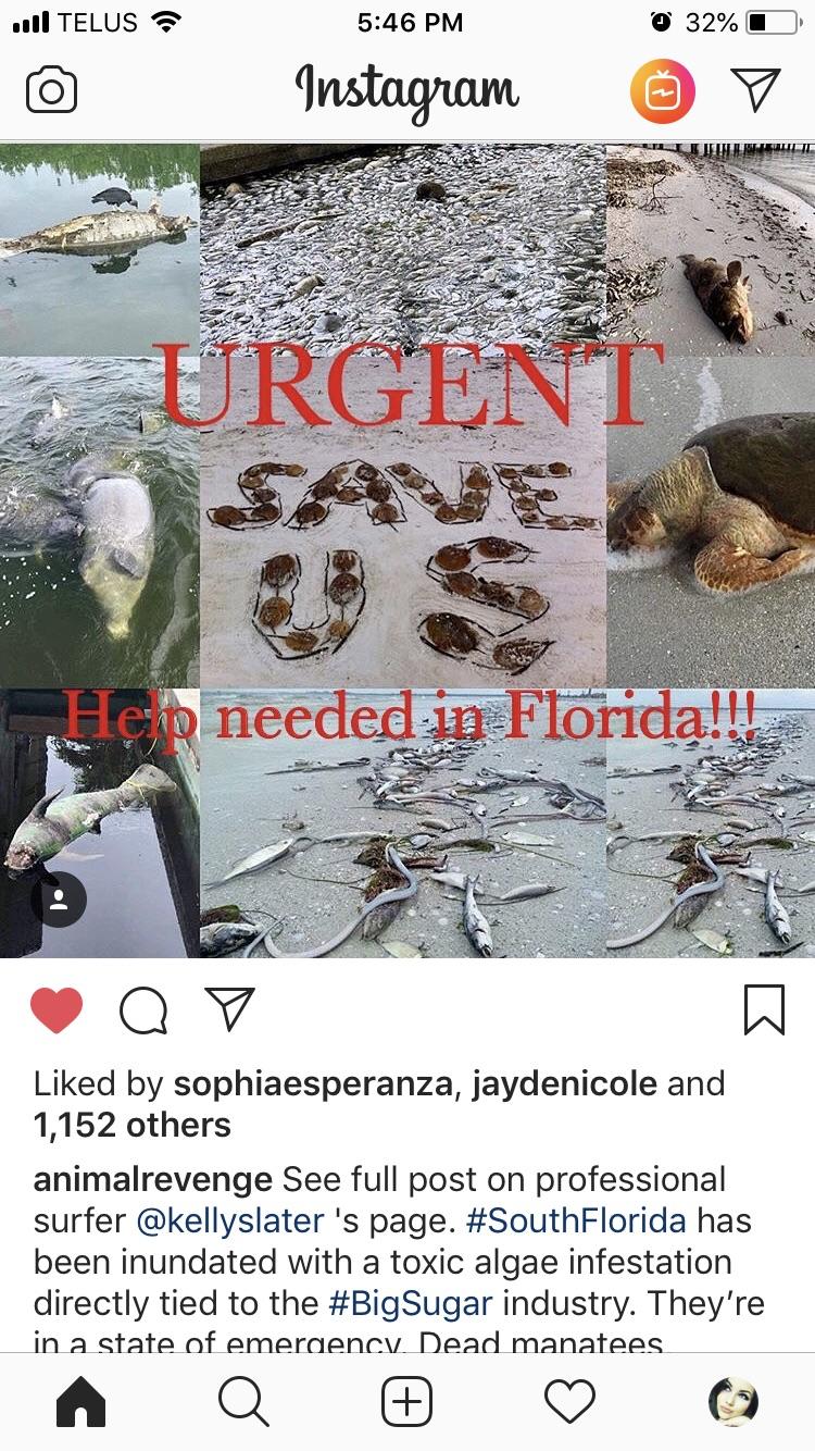 Major issues in florida! r/florida