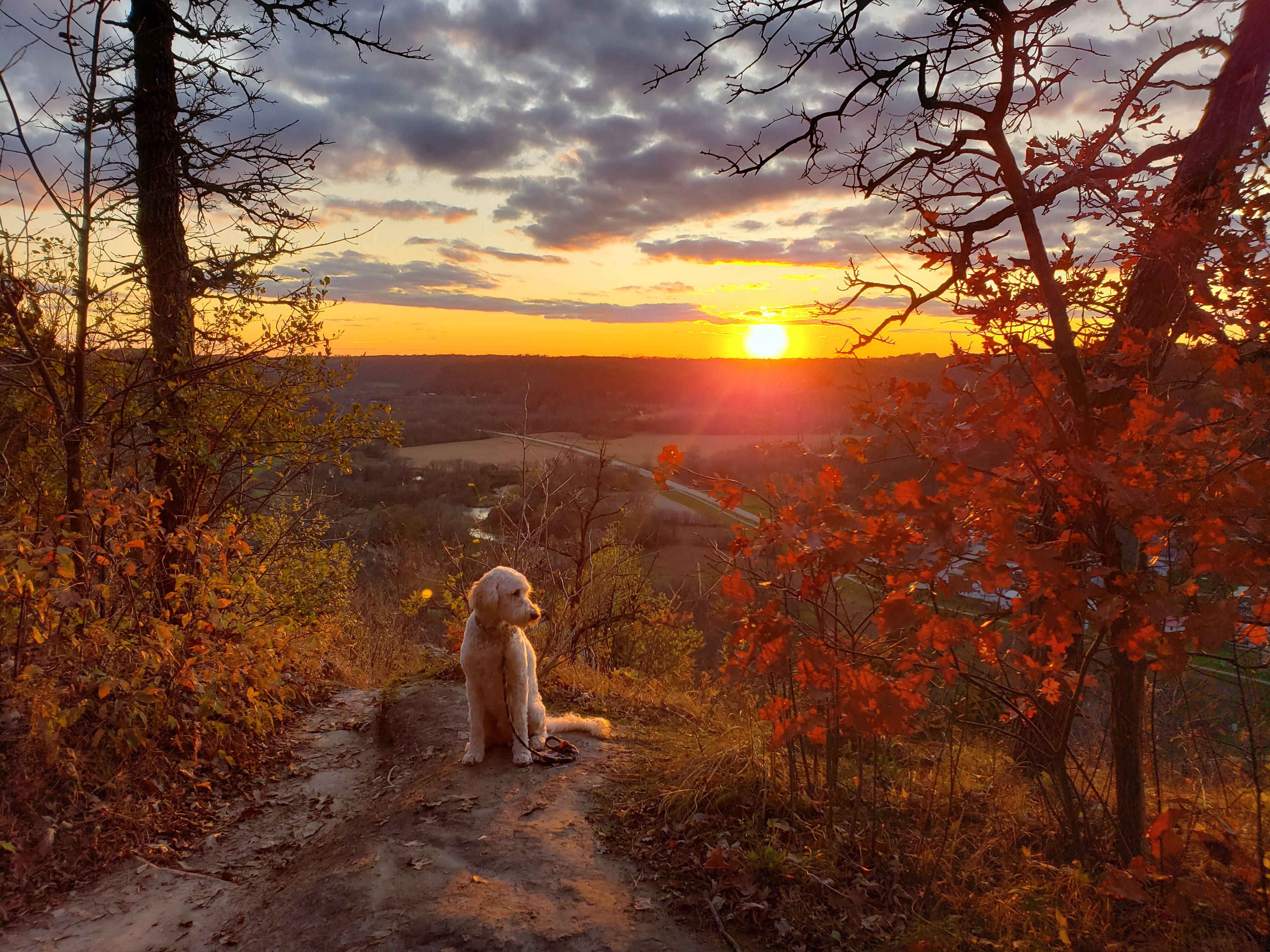 Fall sunset Bluff country SE MN r/neature