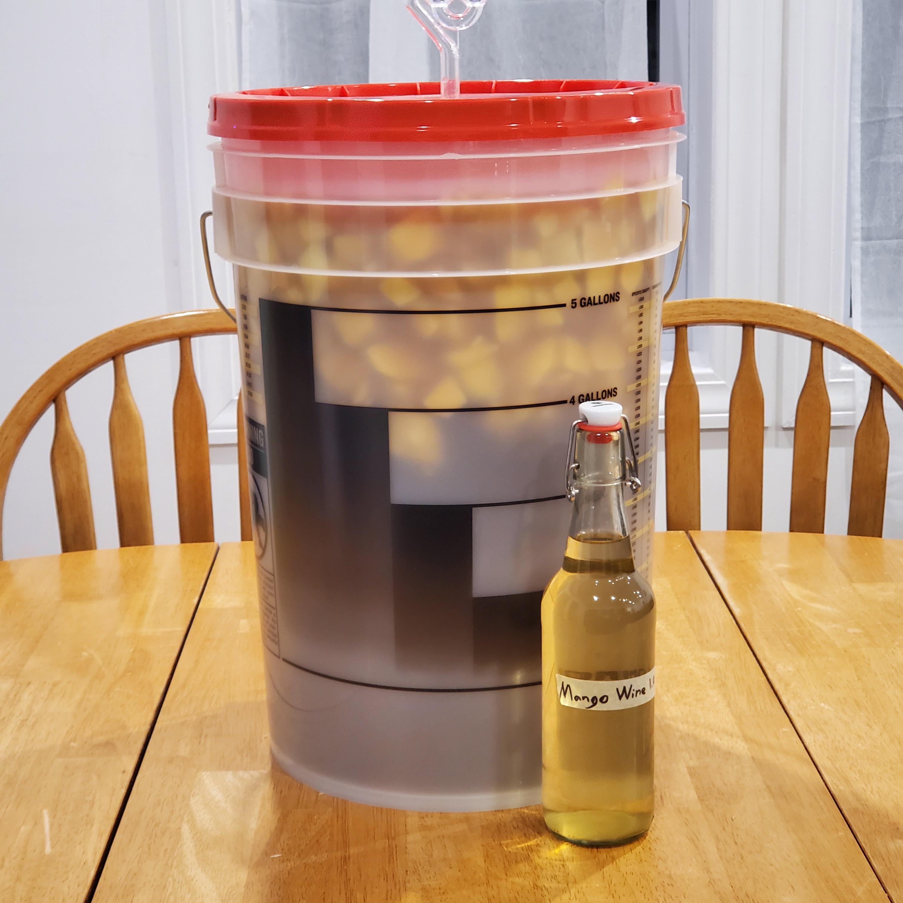Mango Wine Recipe 5 Gallon Bryont Blog