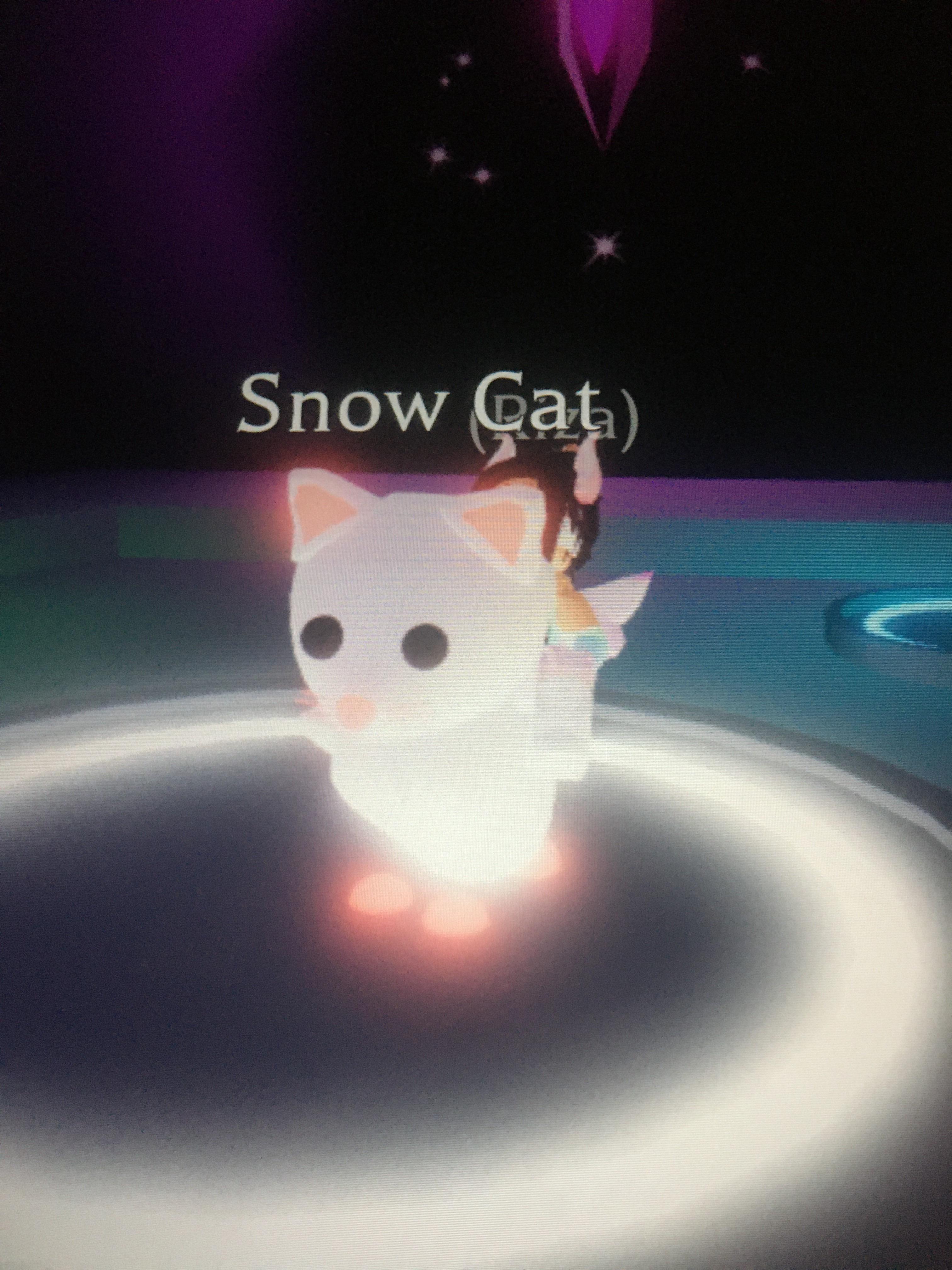 After months I finally got my dream pet my myself! A ride mega snow cat