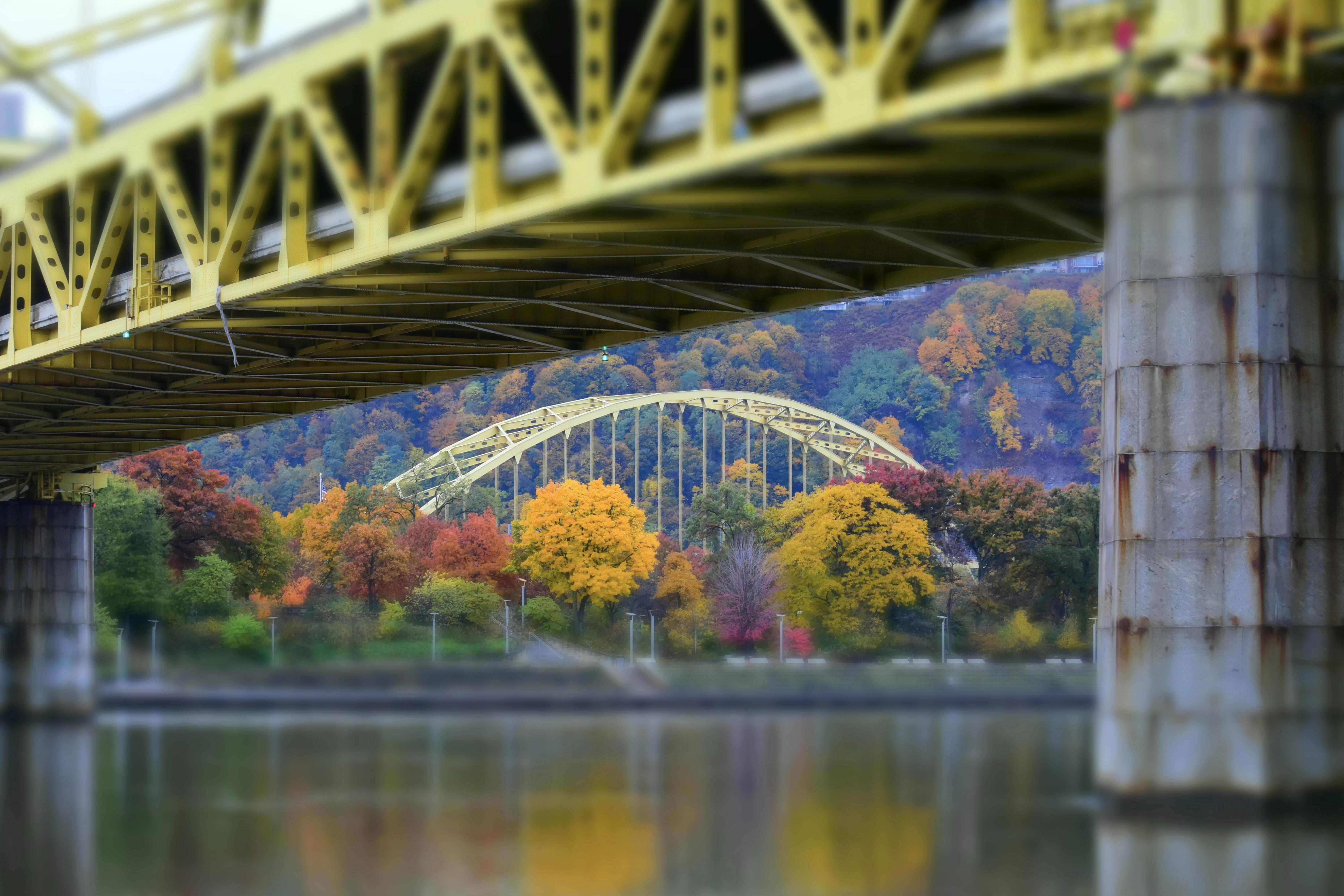 Bridges in Pittsburgh, PA... r/pics