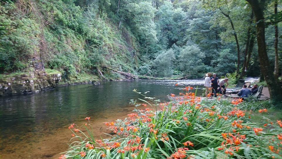 Wild Camping on the Dart. A special spot ) r/dartmoor