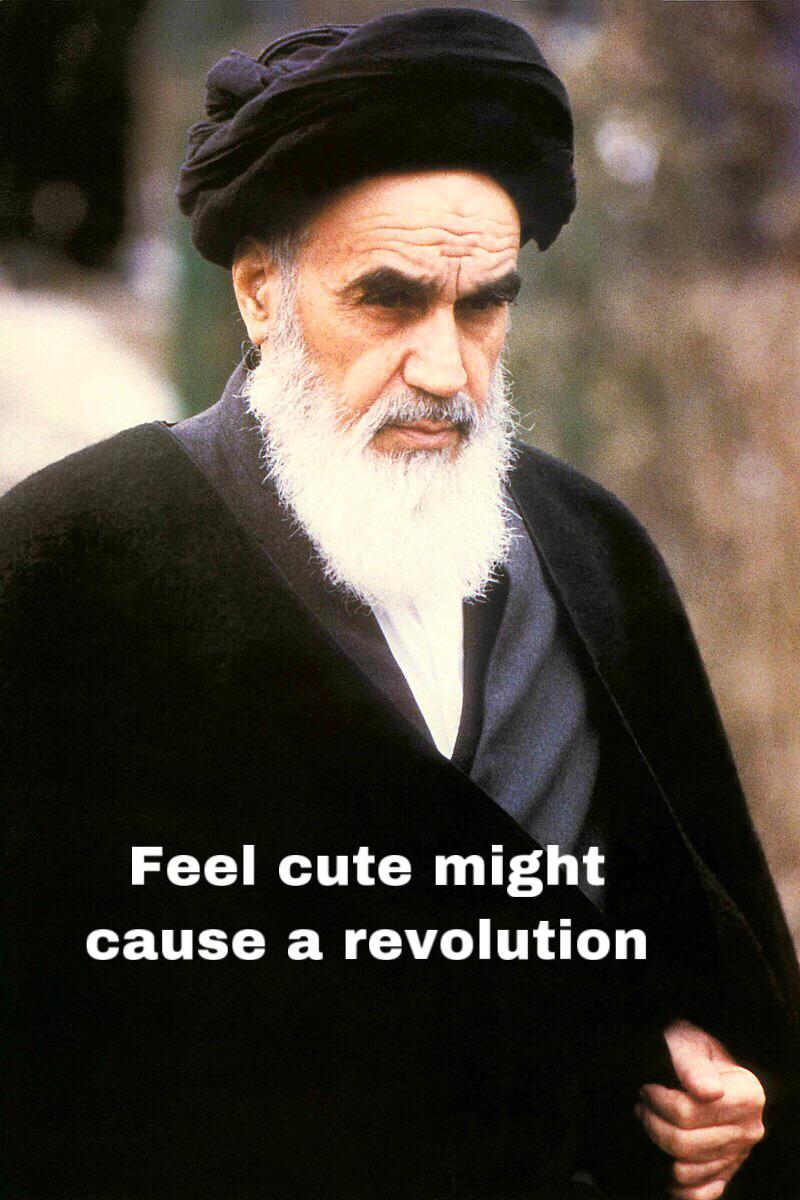The fact that there is no Iranian revolution memes is beyond me r/HistoryMemes