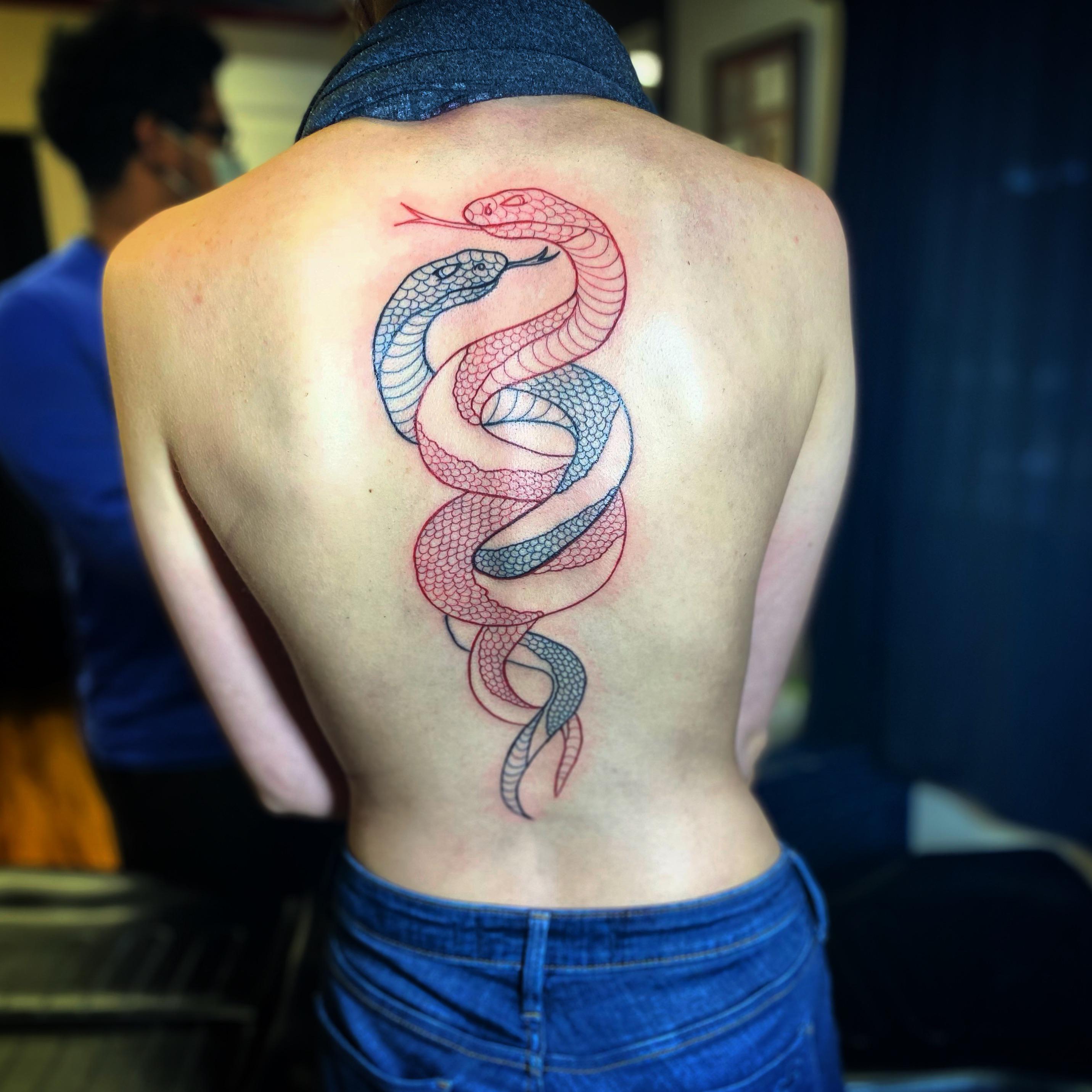 Snake Tattoo Done By Chris At 717 Tattoo, Mechanicsburg, Pa. Opinions? : R/ Tattoos 2863_x_2863_jpg