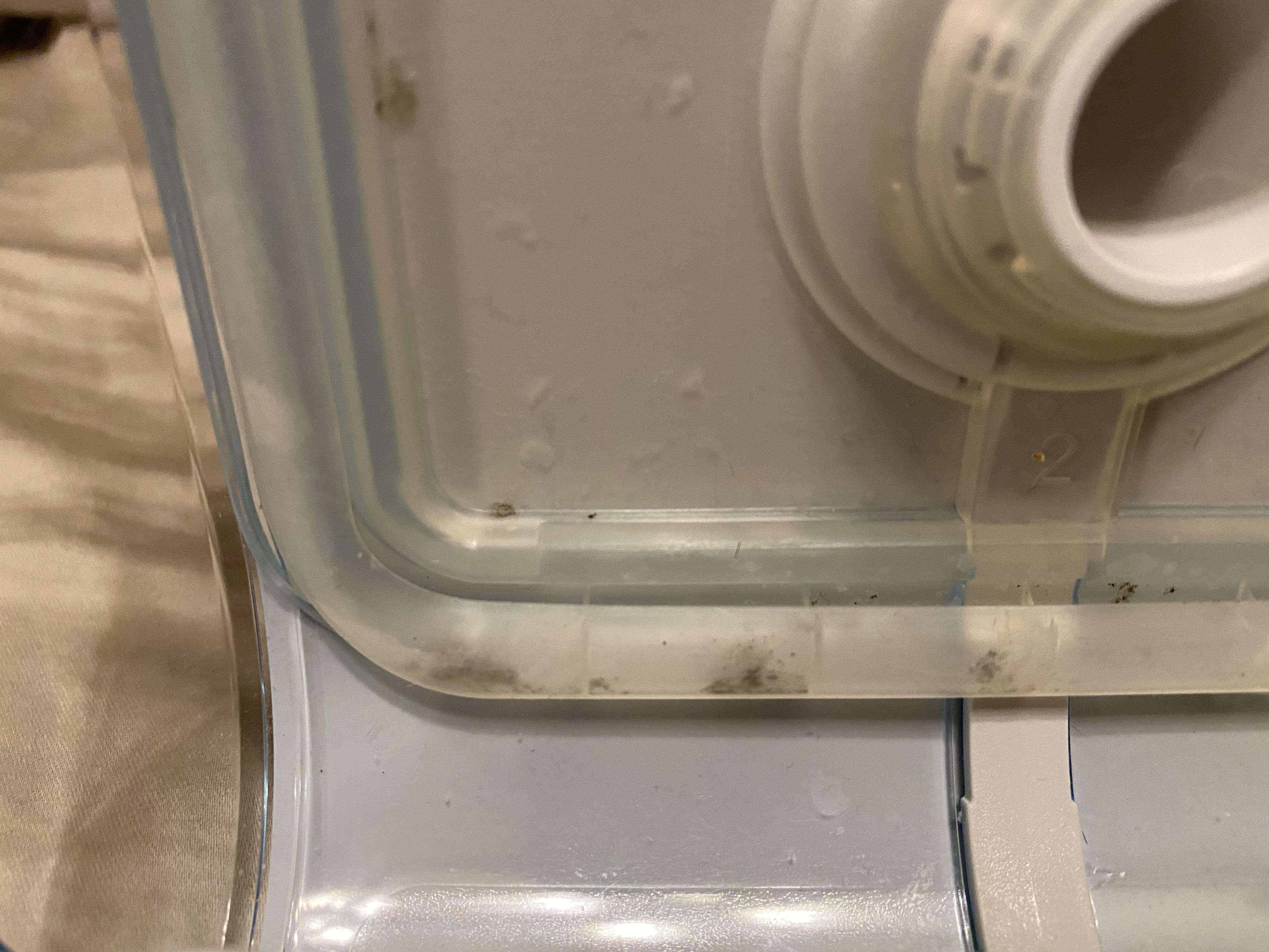 Clean the silicone humidifier seals. This mold is from after a few