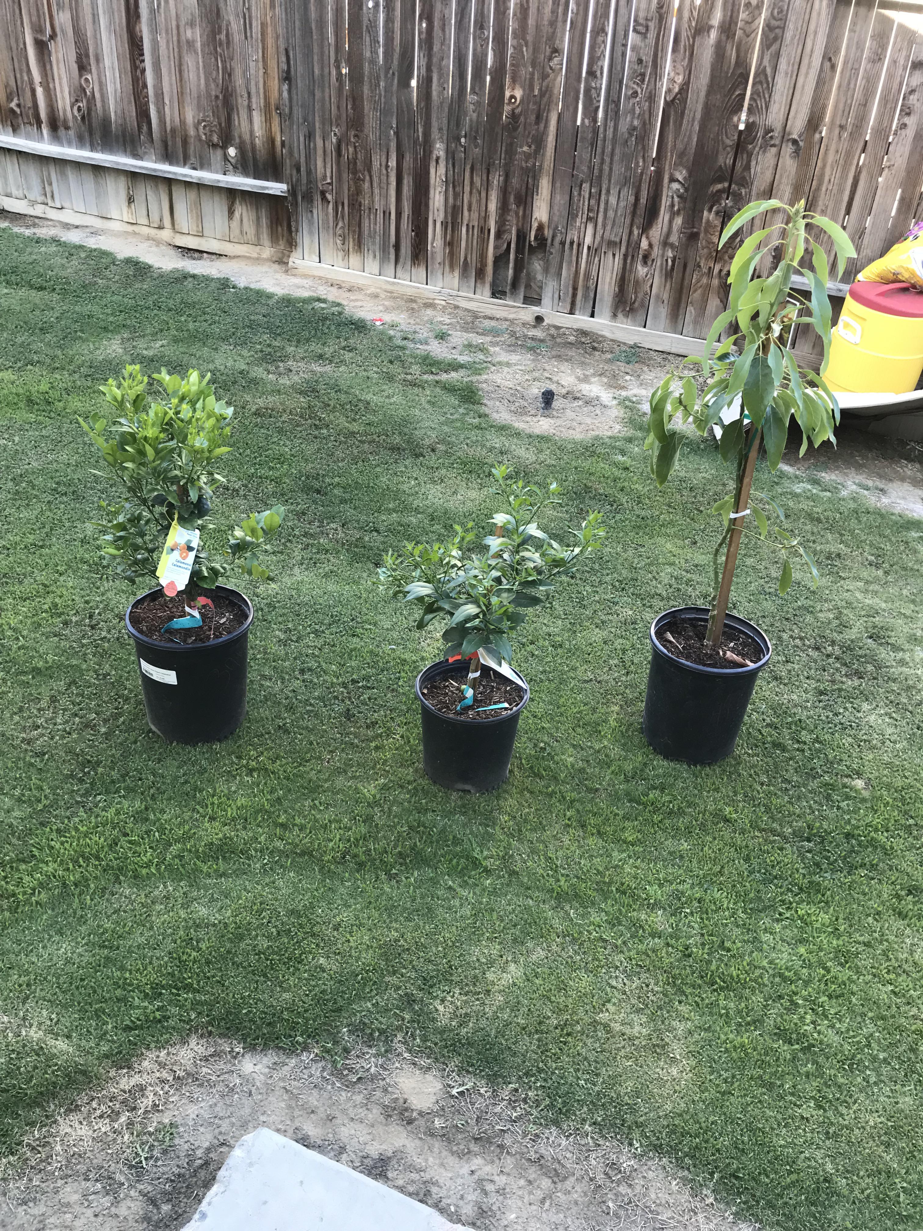 New to the sub reddit! r/gardening