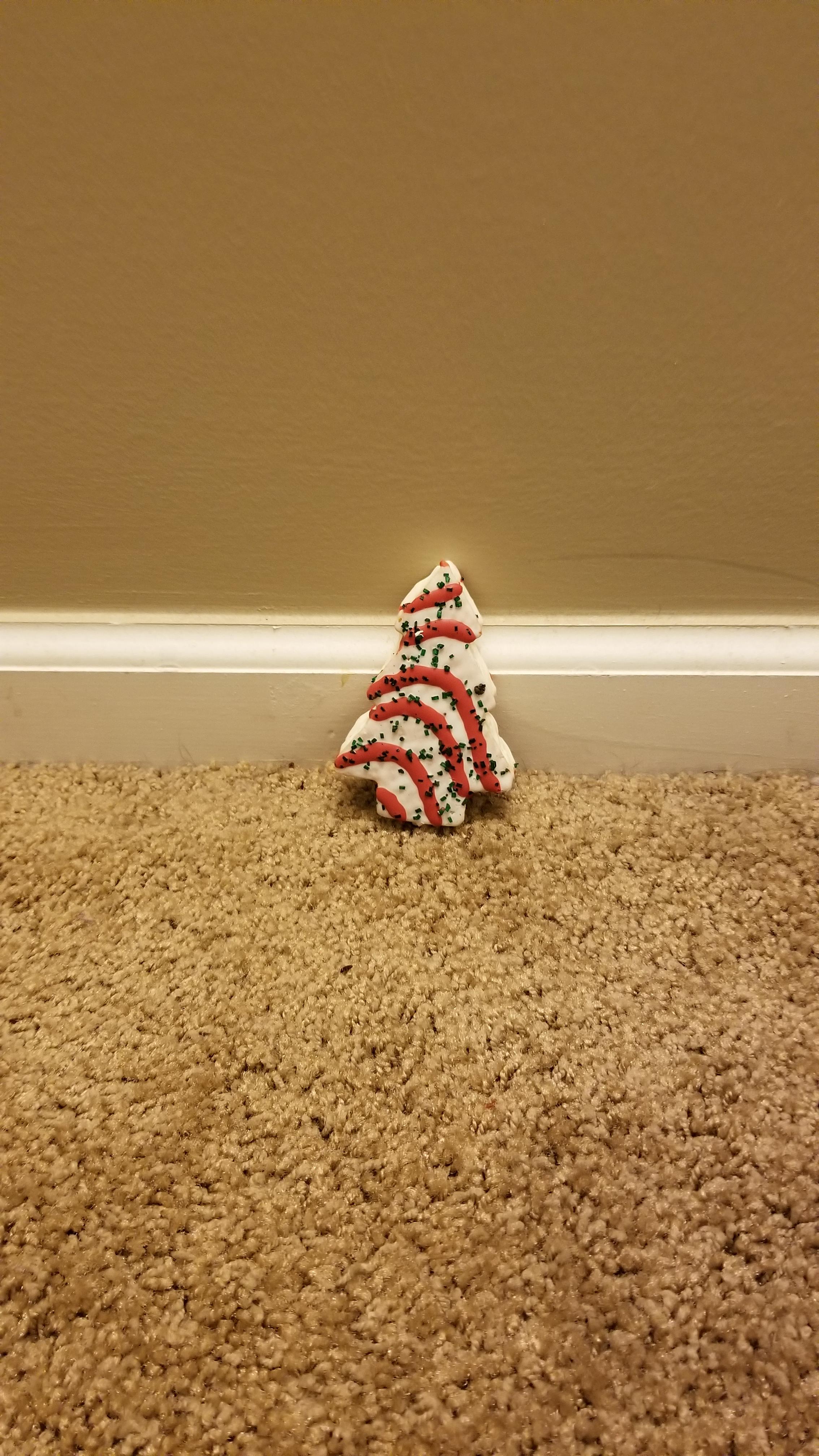 I finally got my Christmas tree up and decorated. r/funny