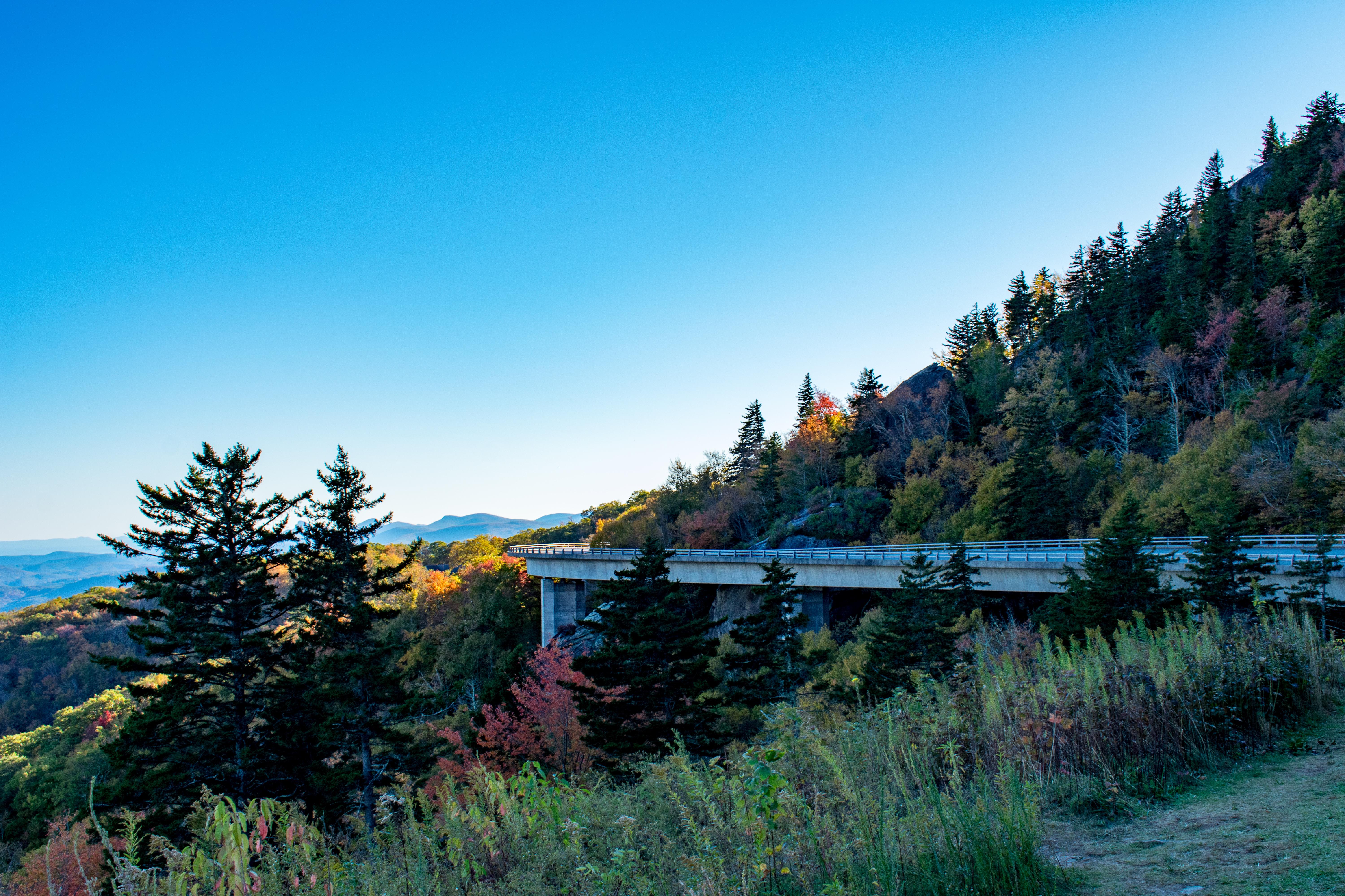 The Blue Ridge Parkway near Grandfather Mtn. in October 2017 [OC] r