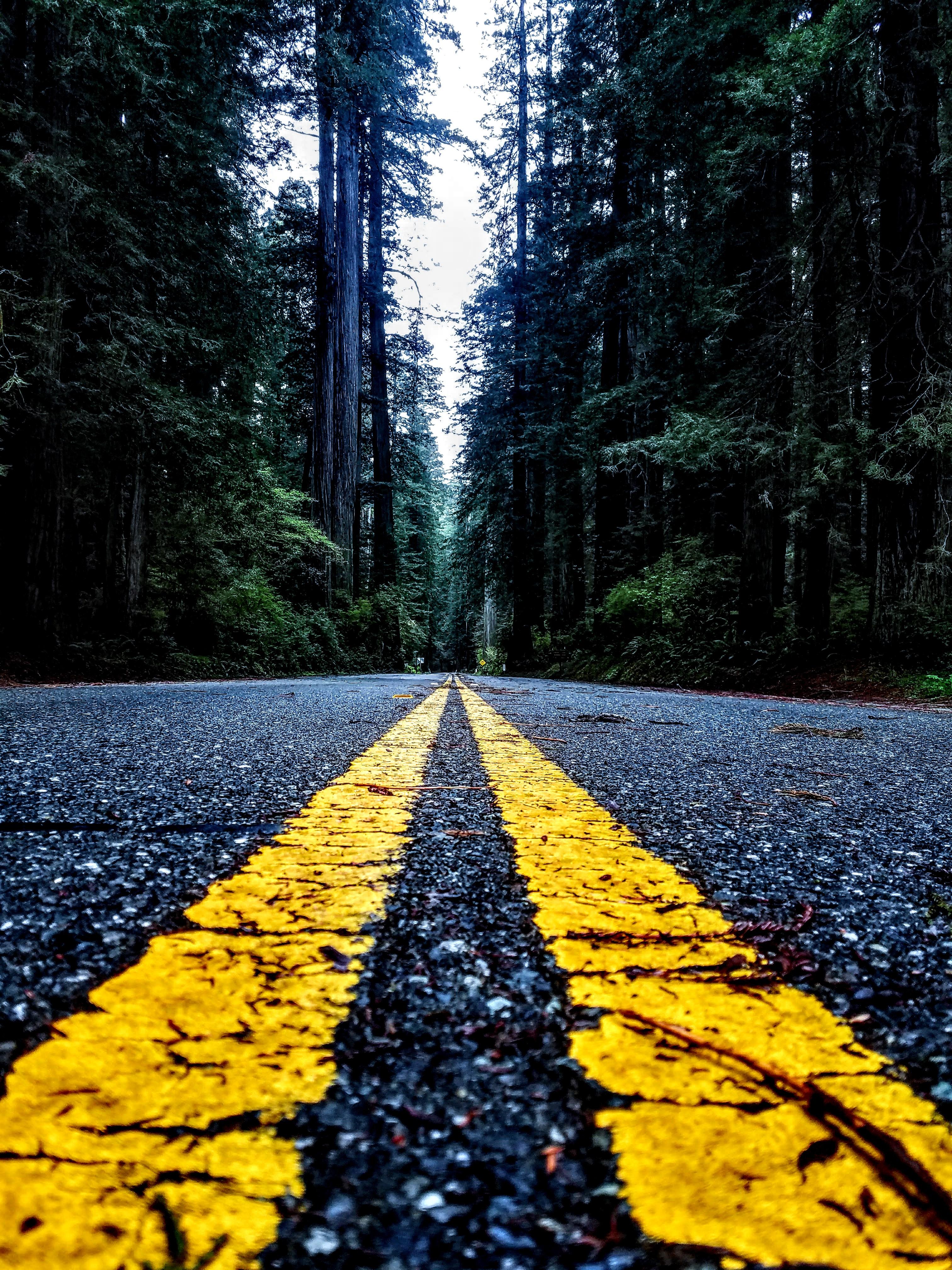 [Artist store] photography prints for sale on inprnt! r/artstore