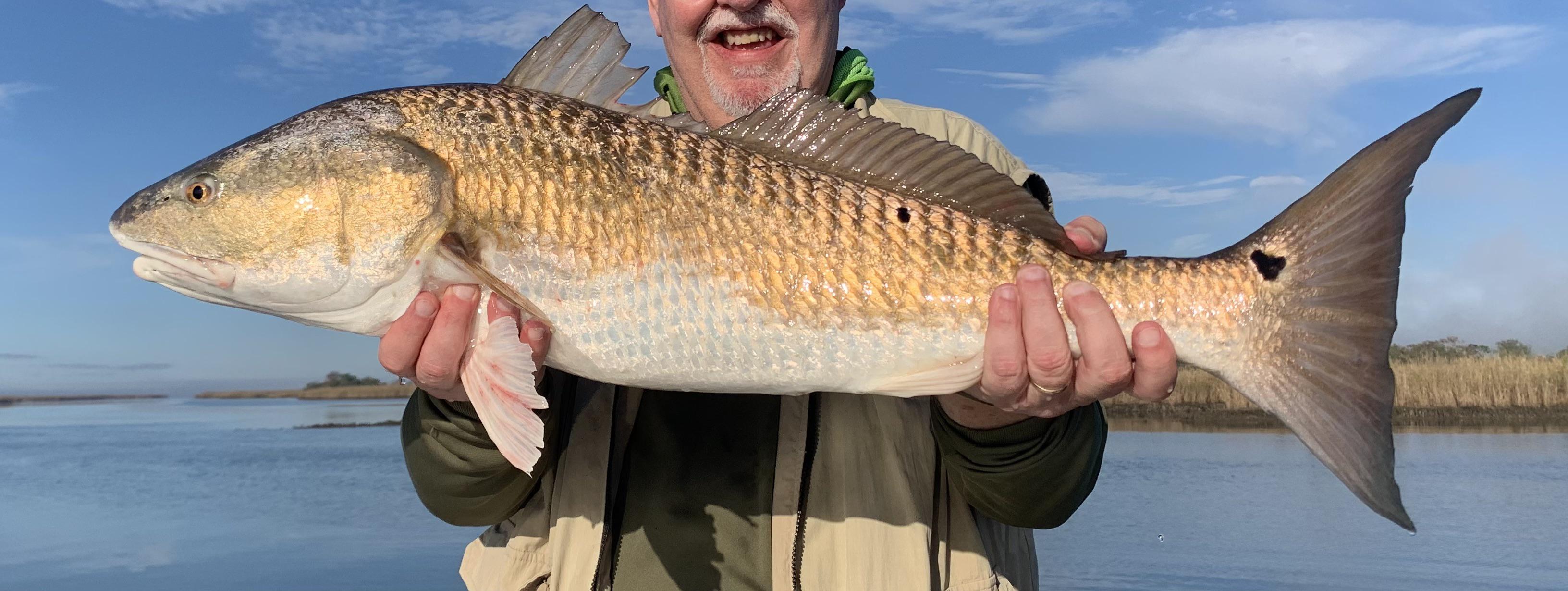 Pops caught a decent size Bull Red in Buras, LA today r/Fishing