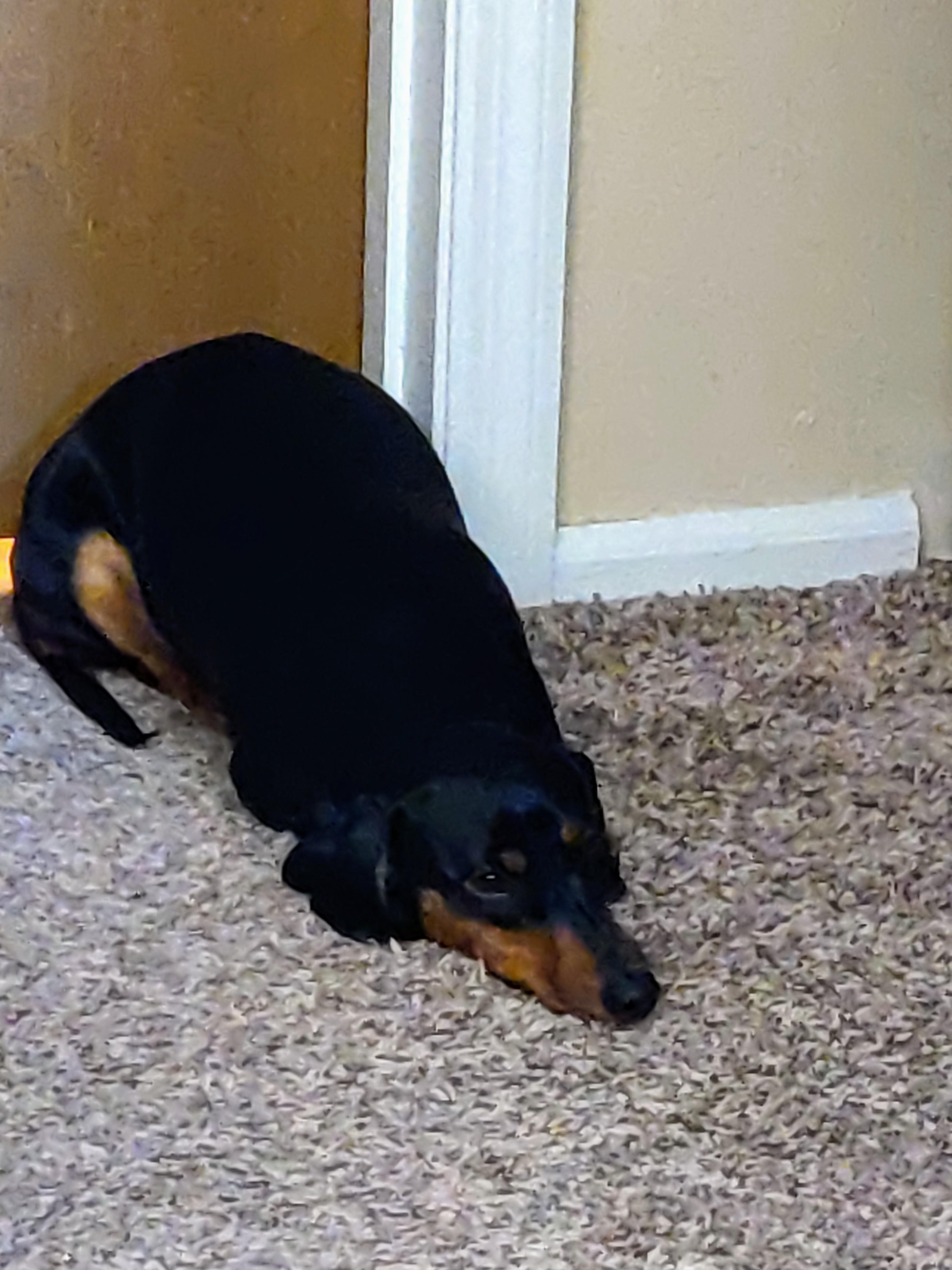 When you're a daddy's girl and he makes you wait outside the door while