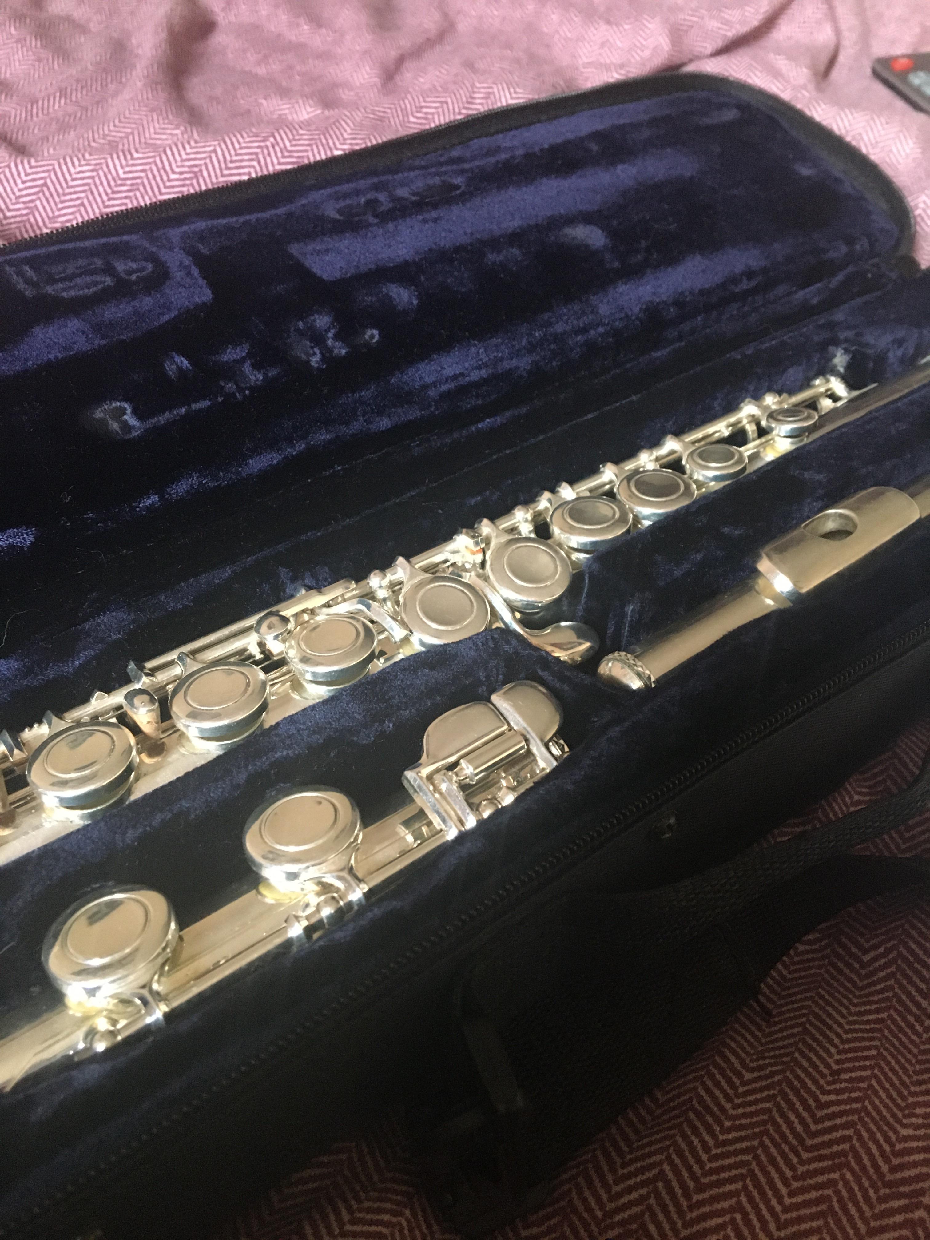Is this a good flute? I want a new one and just wondering if anybody