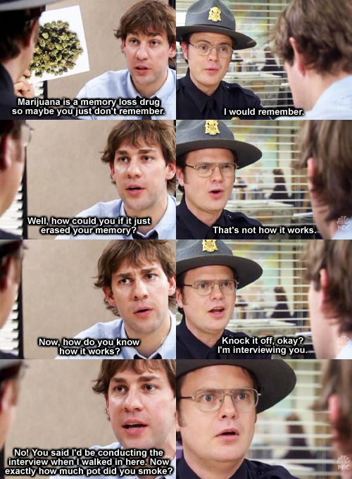 Exactly how much pot did you smoke? r/DunderMifflin