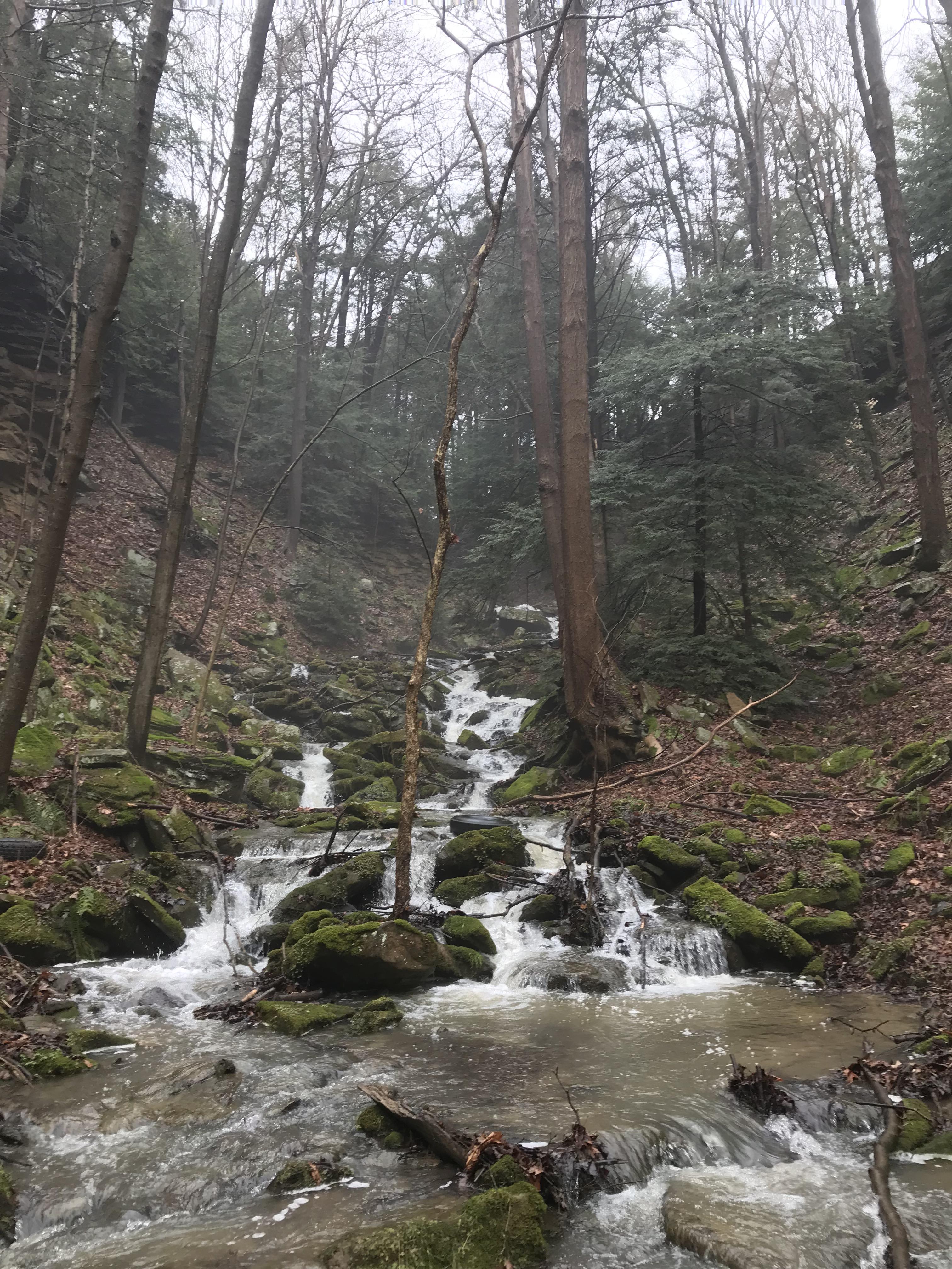 A back trail in Beaver Creek, Ohio r/hiking