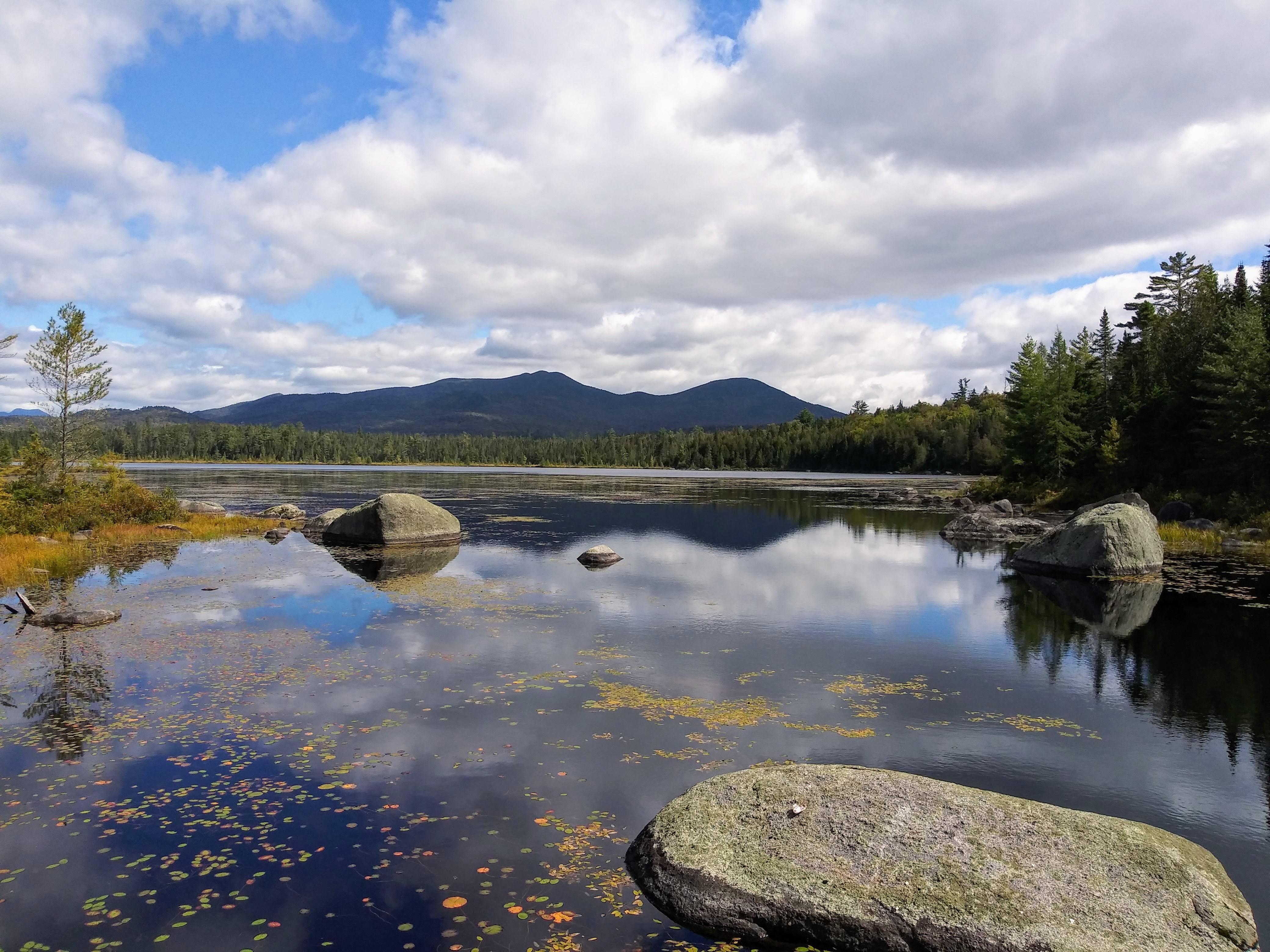 Wolf Pond nice hike off of the Blue Ridge Road r/Adirondacks