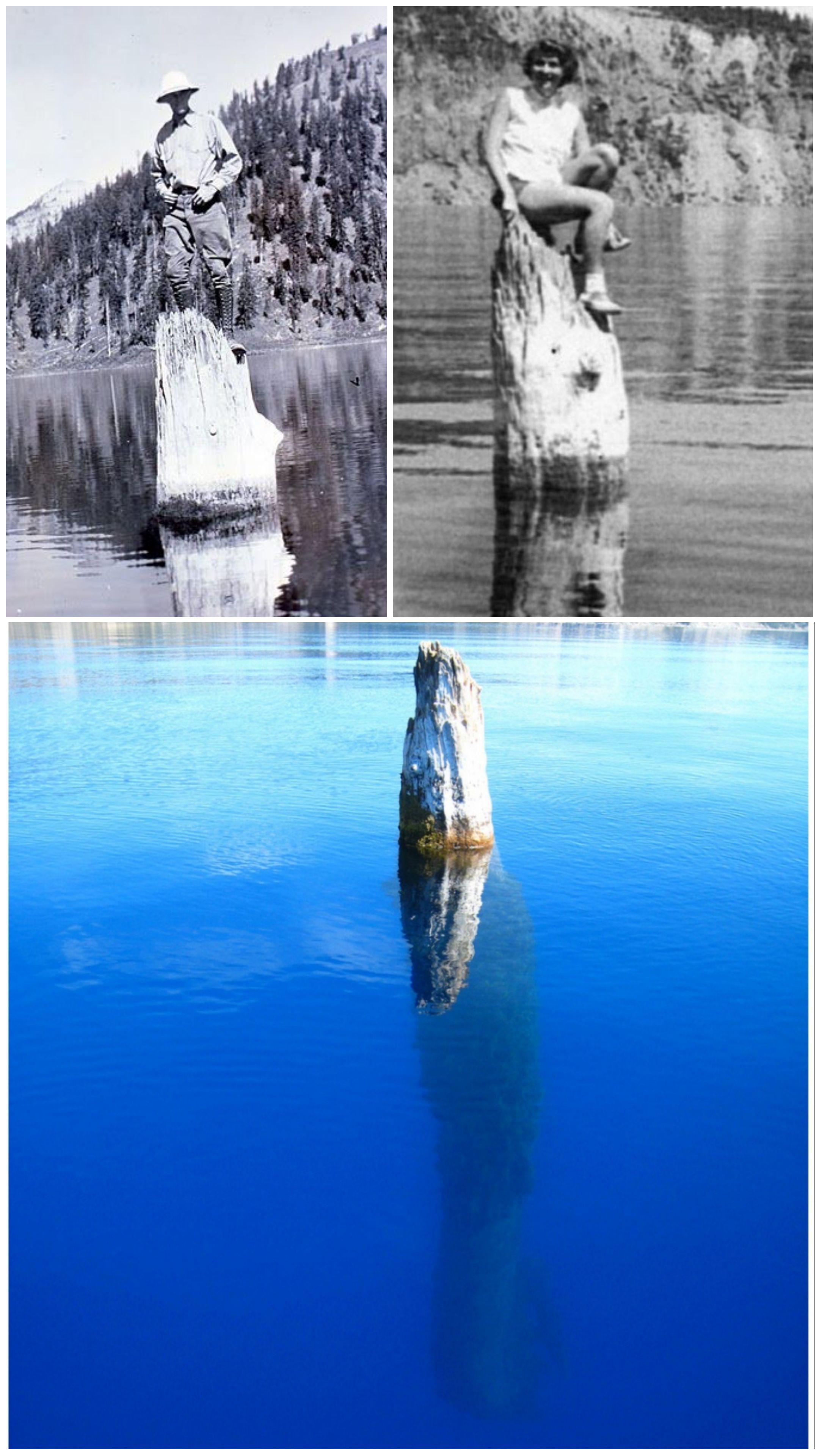 The Old Man of the Lake is a 430 year old 30foot (9 m) tall tree stump, most likely a hemlock