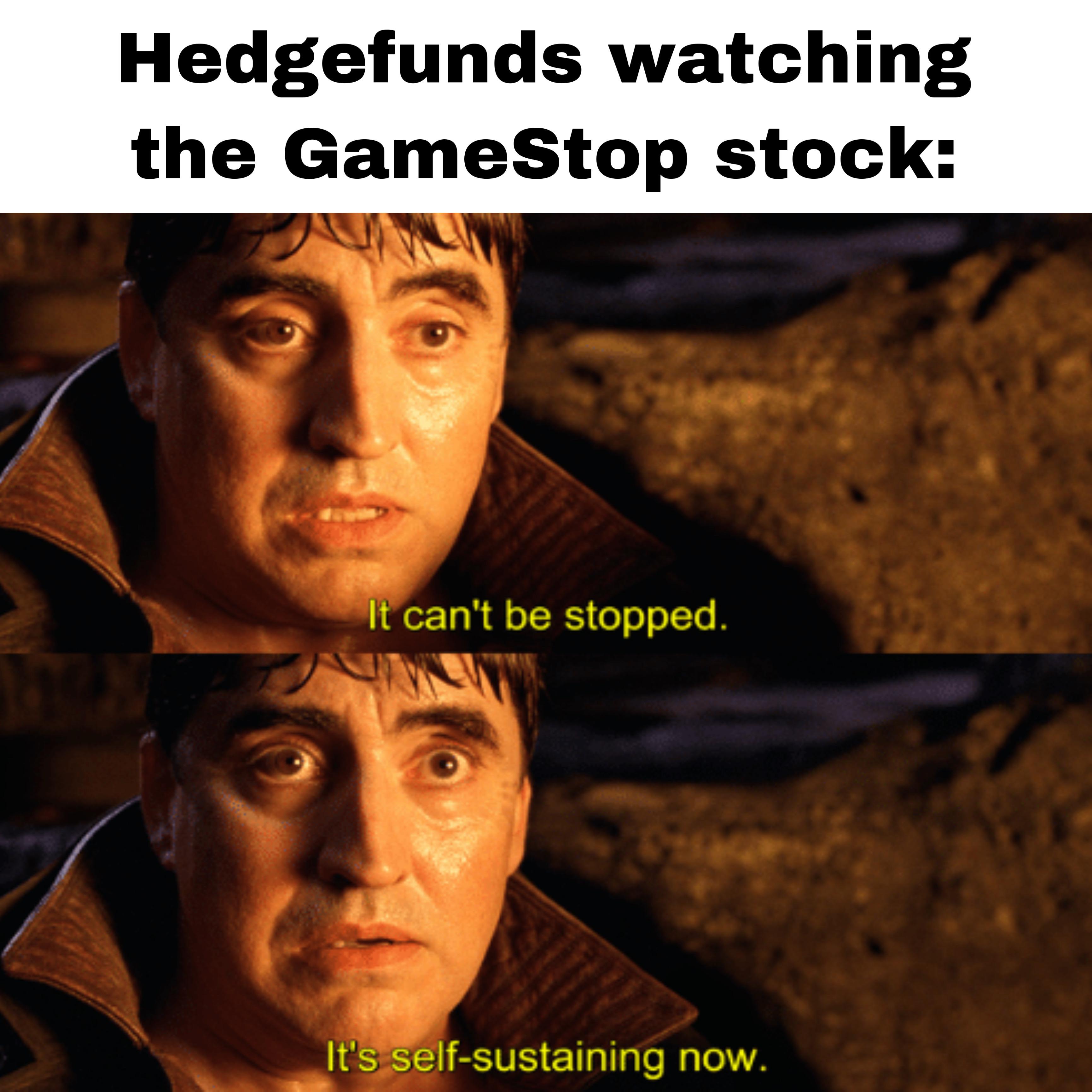 STONKS ONLY GO UP! 🚀 🚀 🚀 raimimemes