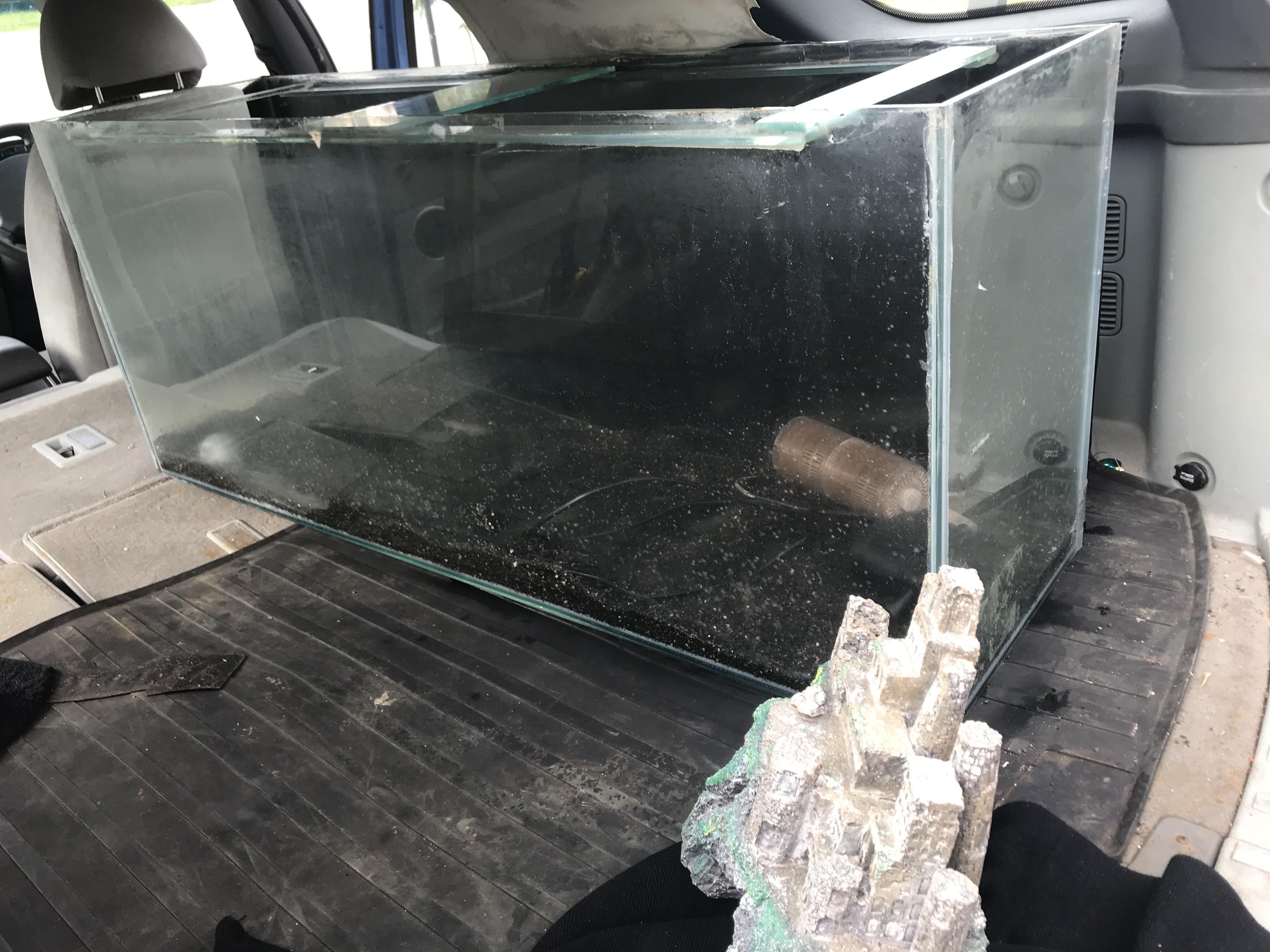 Looking for stocking ideas for freshwater or saltwater (4ft 200L/50G