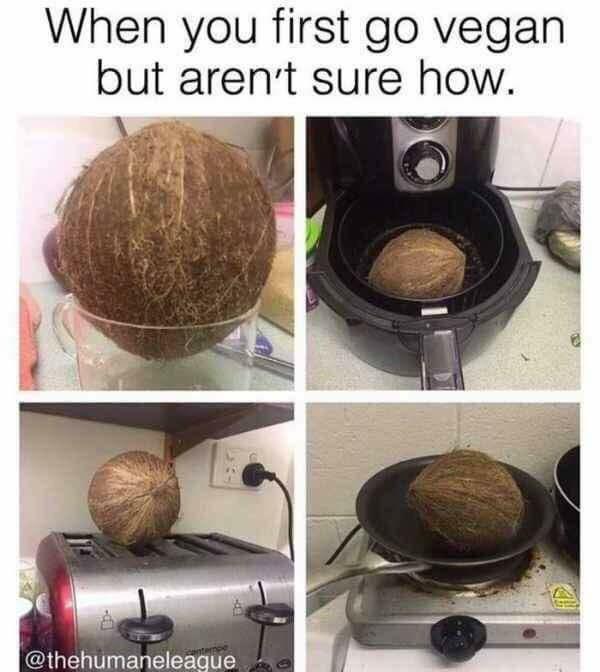 Or just stare at a block of tofu not quite knowing what to do with it r/vegan