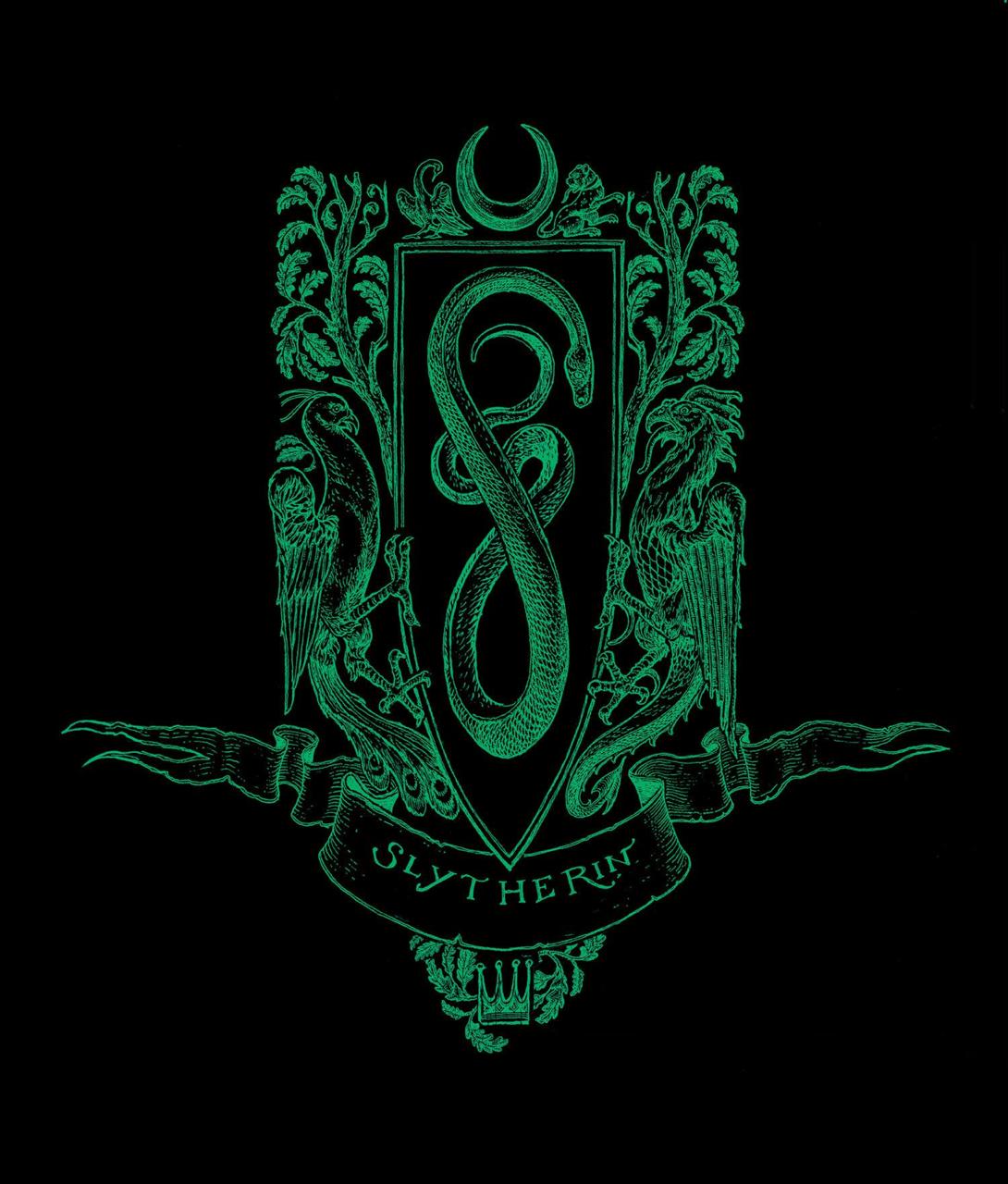 this Slytherin crest looks so cool harrypotter