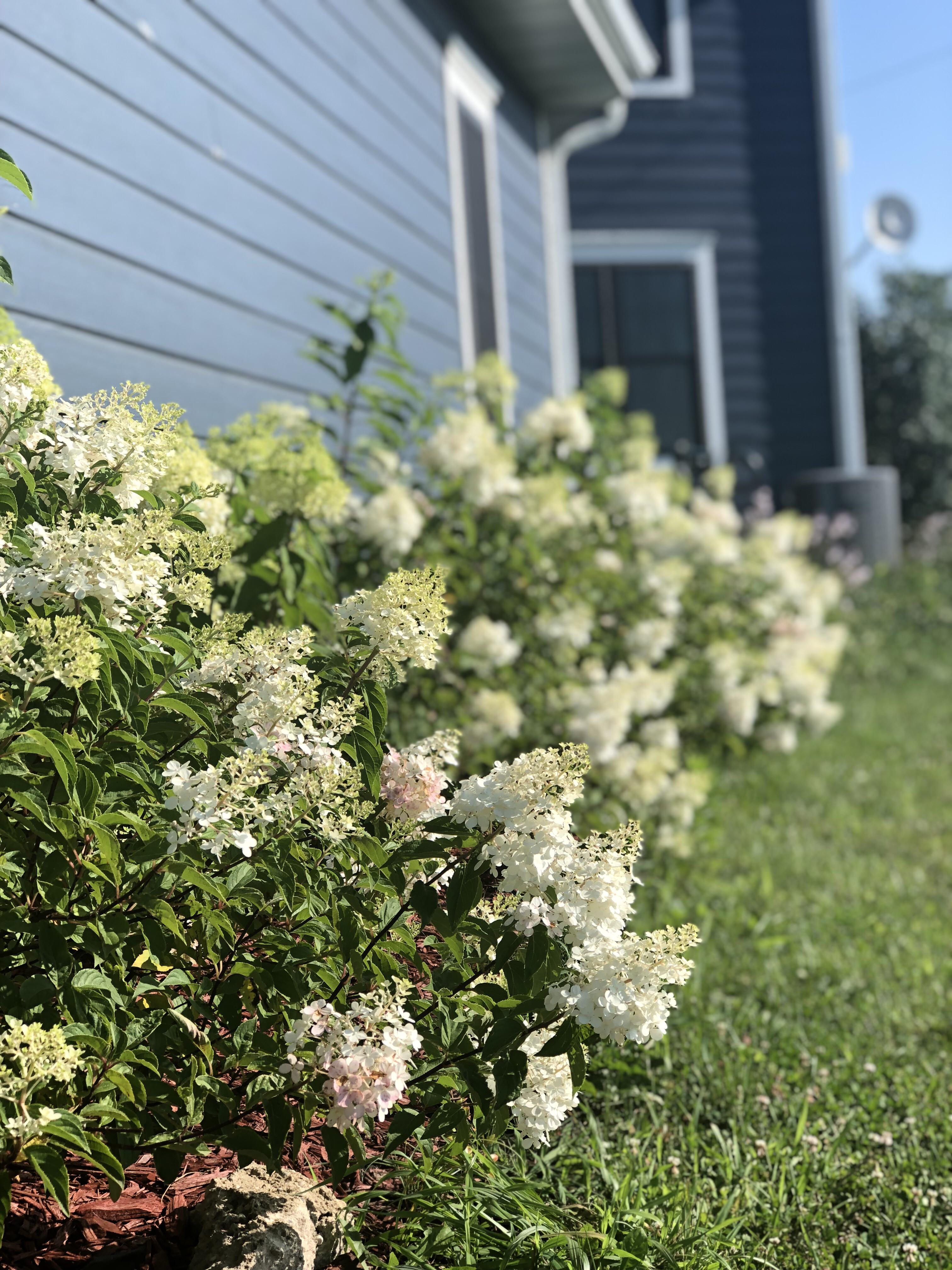 It’s been a rough start for these guys and this is the first year of