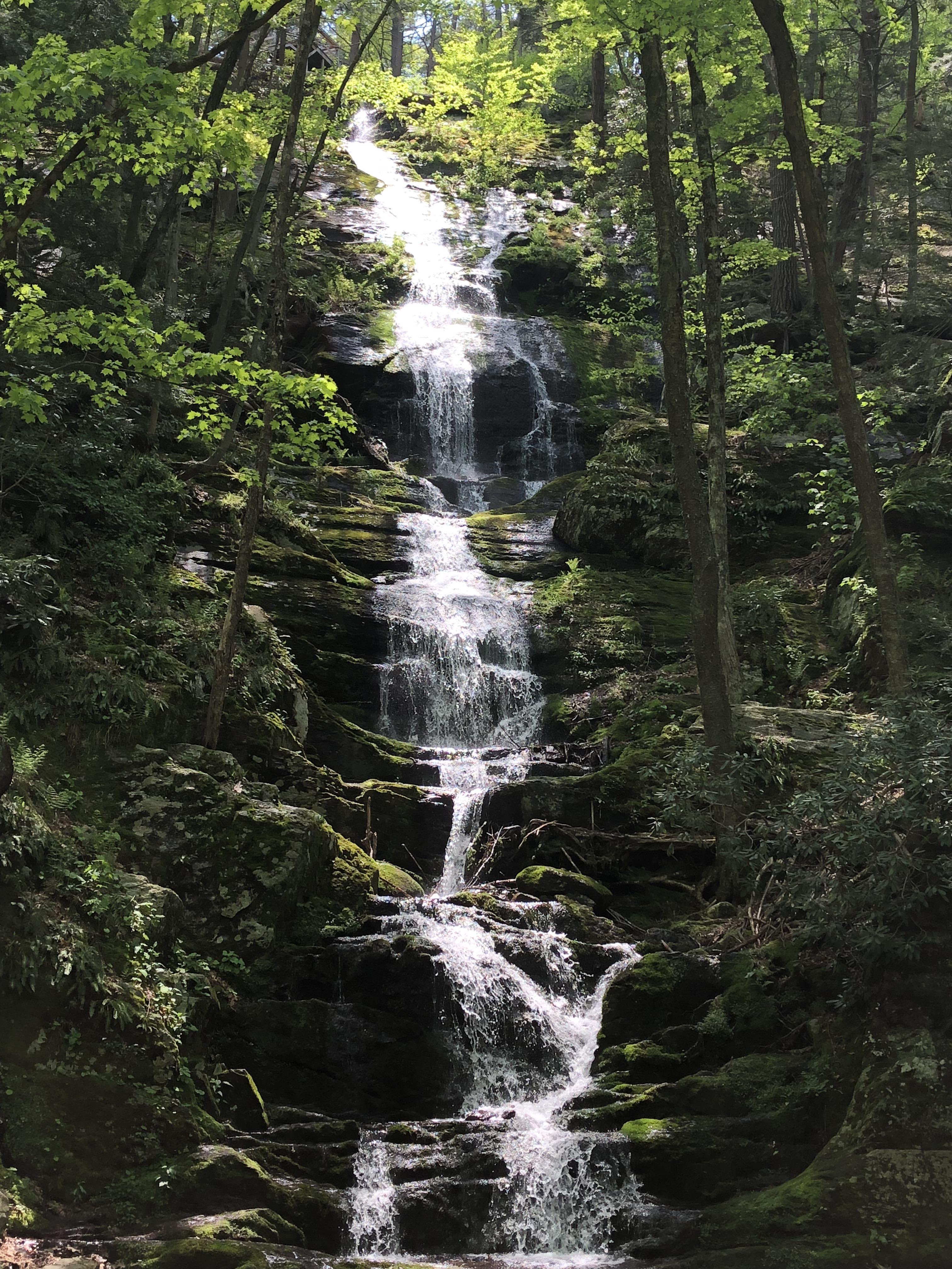 One of my favorite hikes starts at the Buttermilk Falls in Layton, NJ