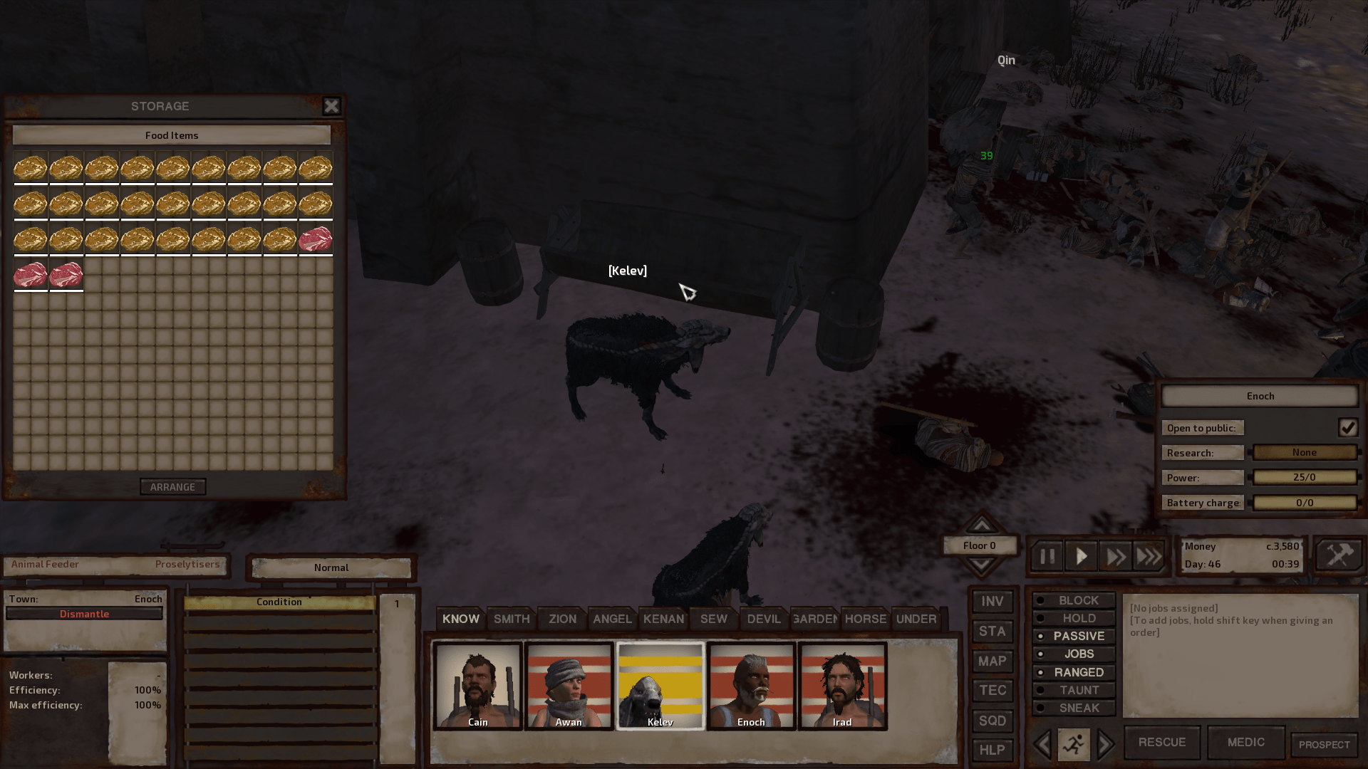 Did animal feeders quit working or is my dog just stupid? Both my animals only eat out of food