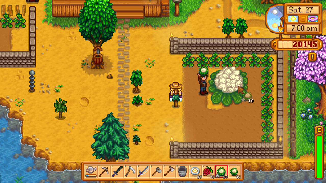 Unexpected Large Cauliflower r/StardewValley
