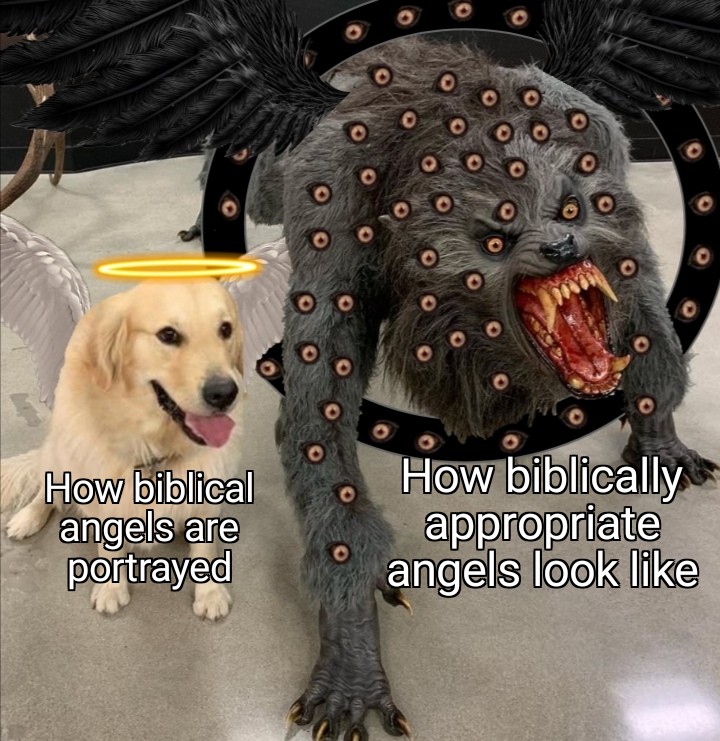 How are the prophets supposed to not be afraid? memes