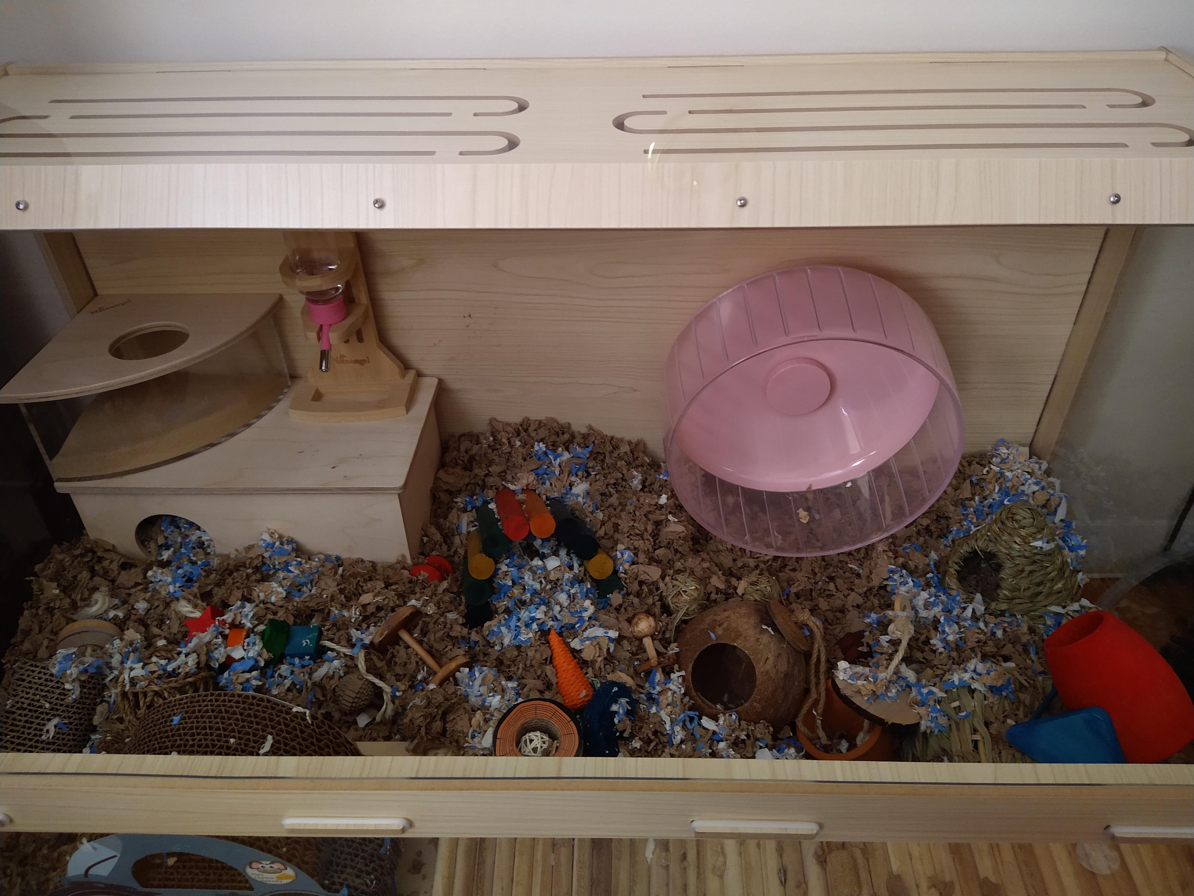 Rate me new cage setup baybeeee not pictured I put three red puck