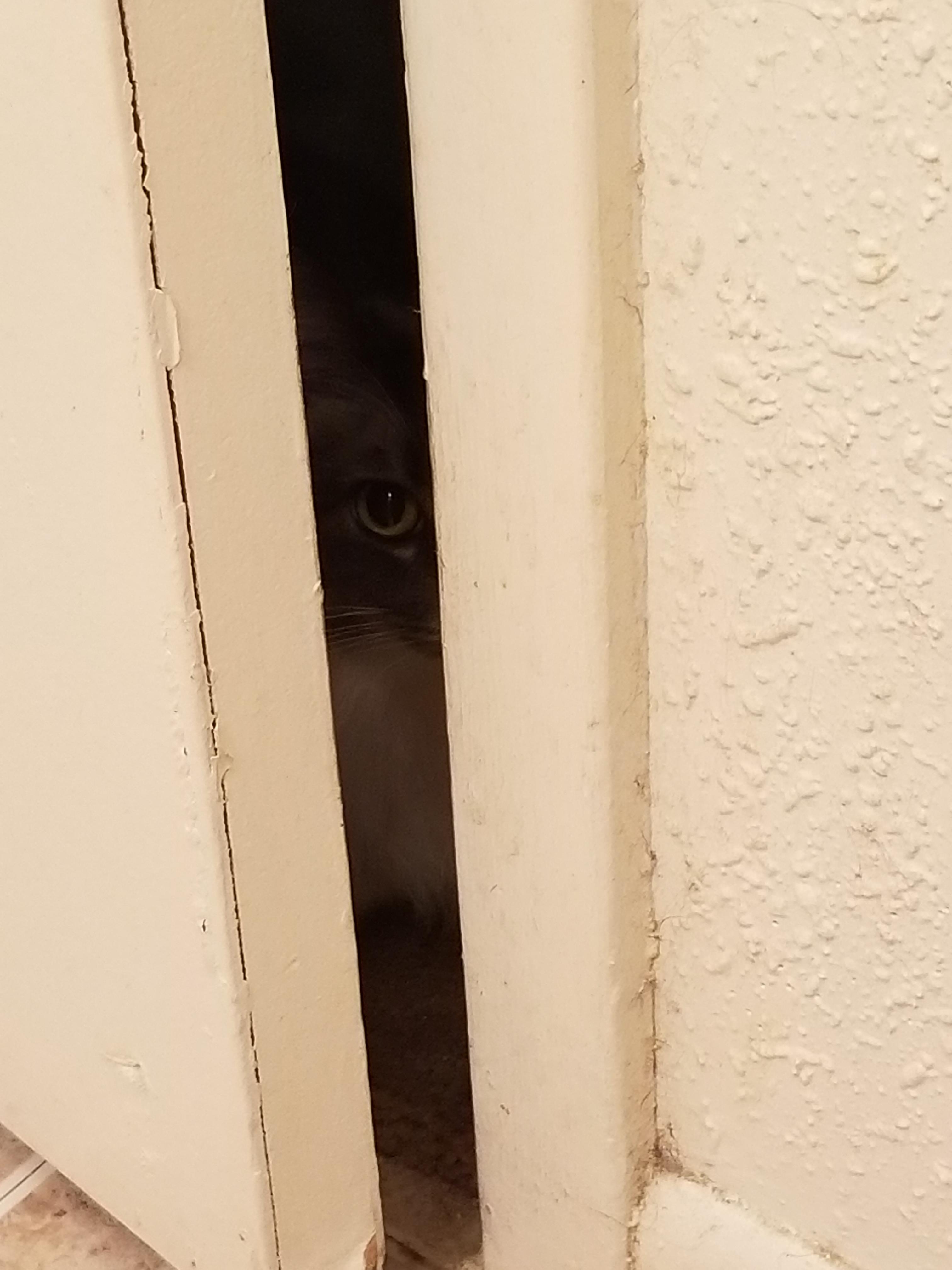 Ellie got mad that I kicked her out and shut the door. So she pushed it