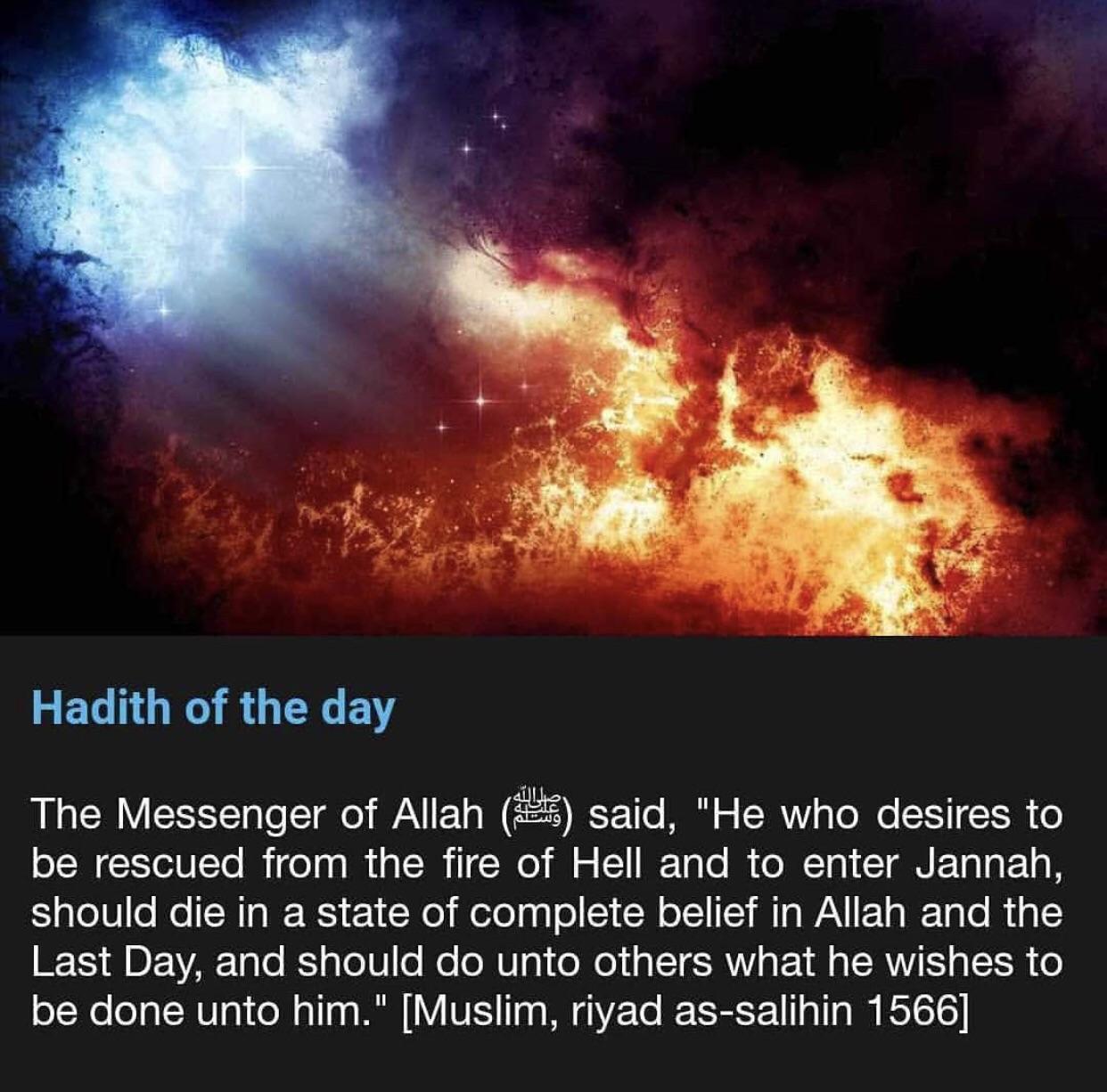 Hadith of the day islam
