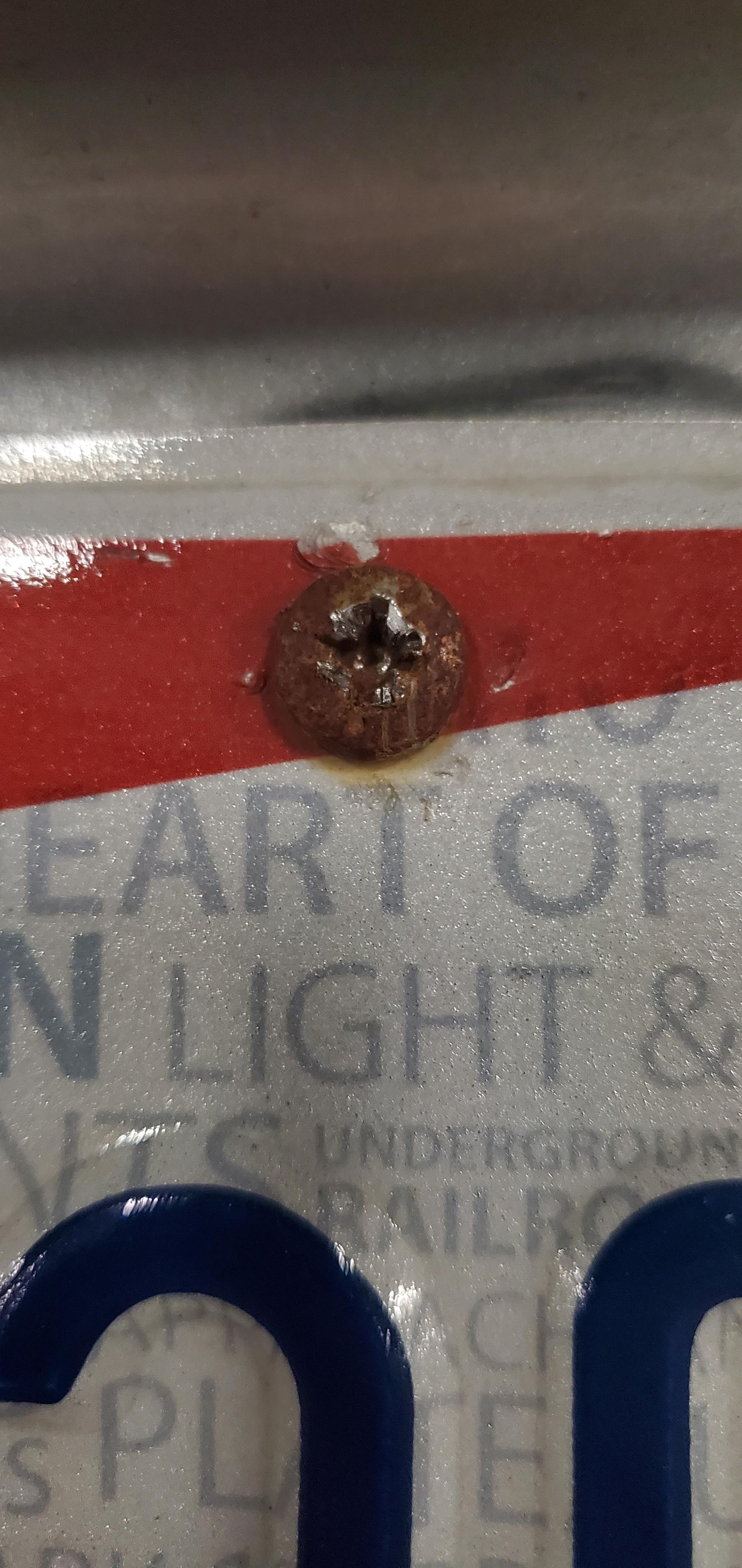 Accidentally stripped my rusted license plate screw and now I can't