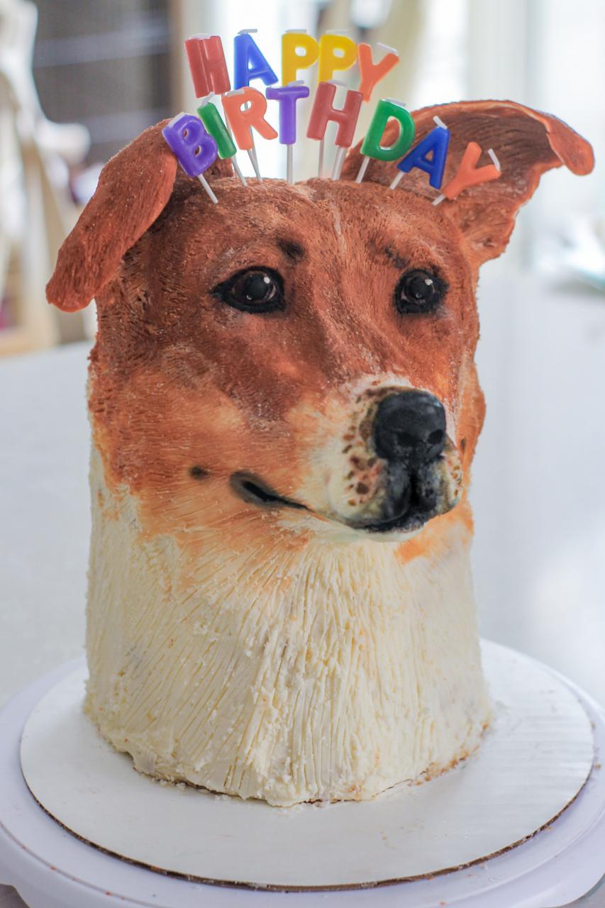 New here, but I wanted to share my 1st attempt at a 3D sculpted cake