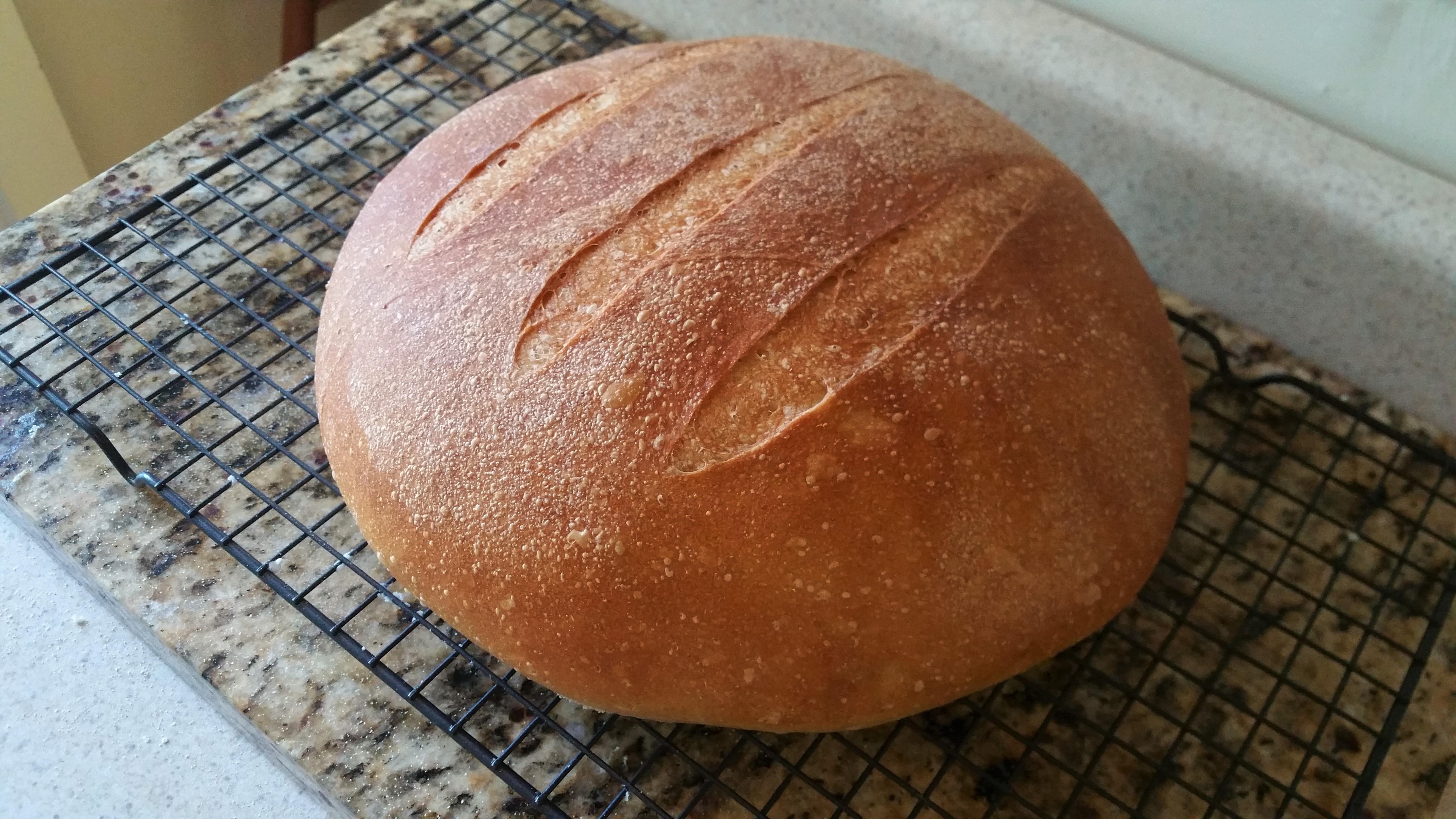 [Homemade] Country Bread food