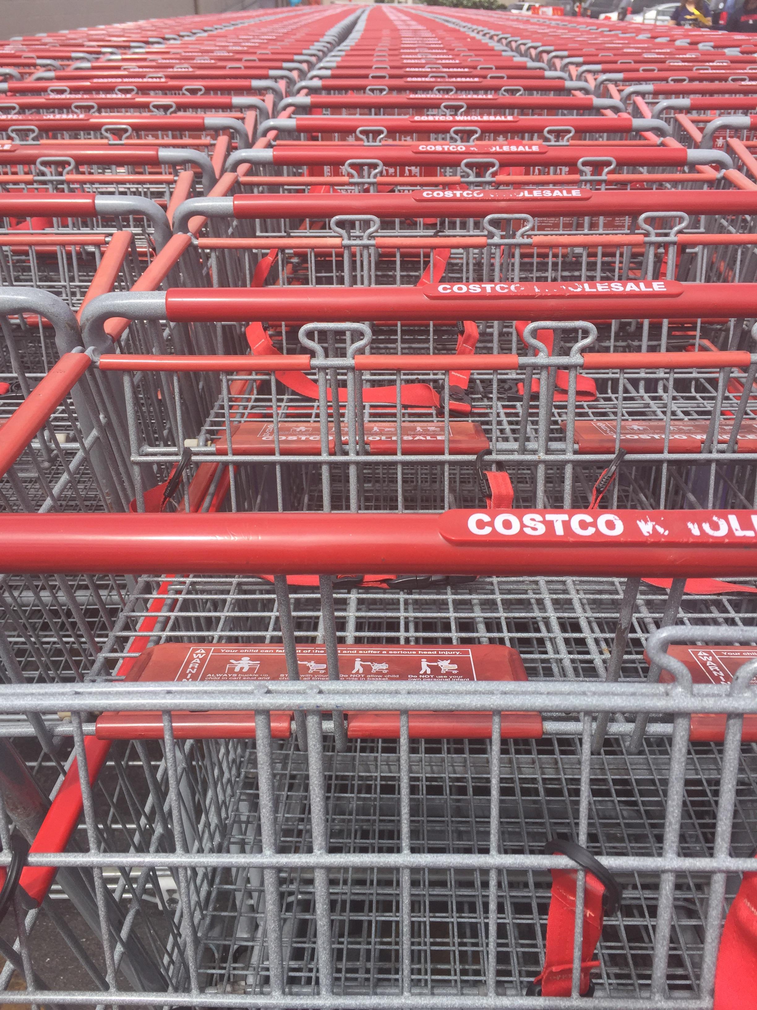 The way these Costco carts are lined up r/oddlysatisfying