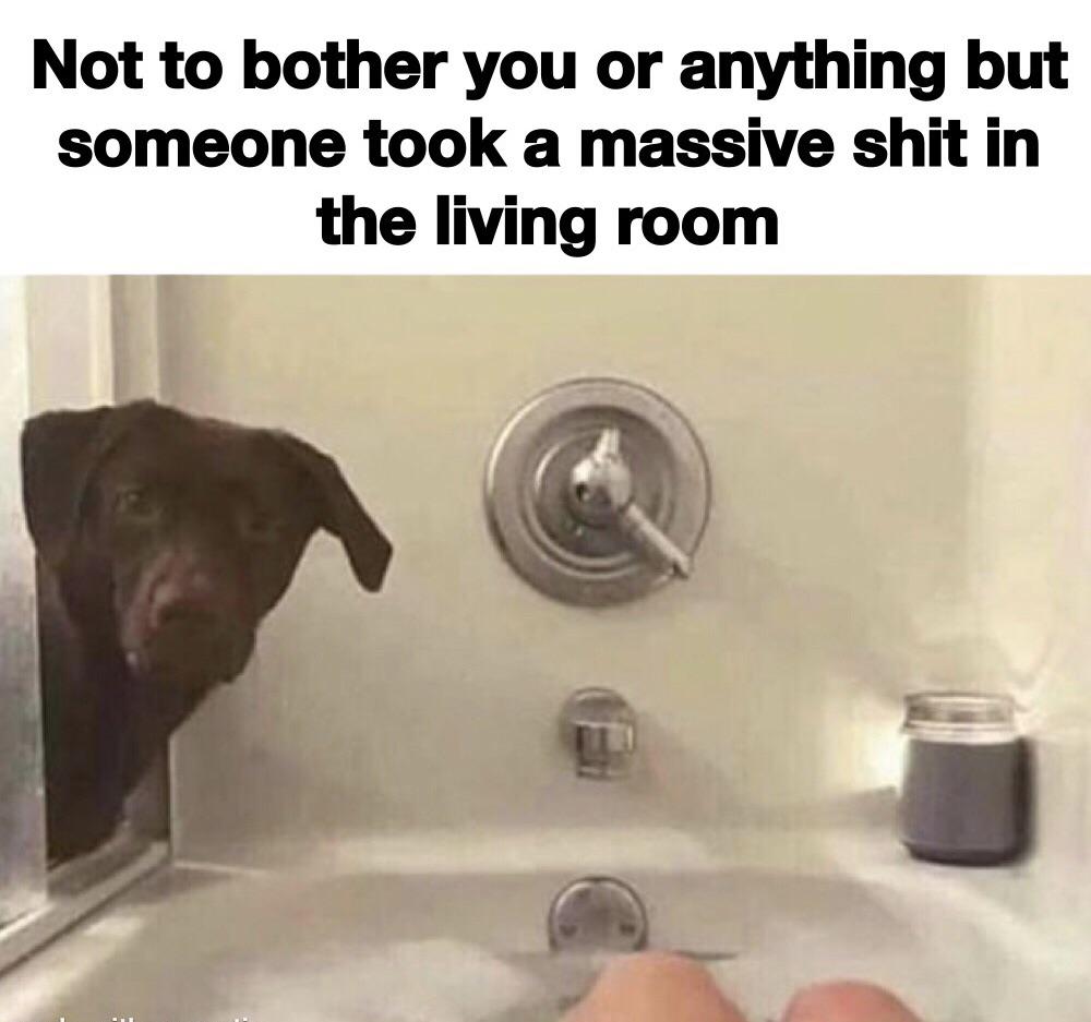 Had to throw out the carpet Rage Comics