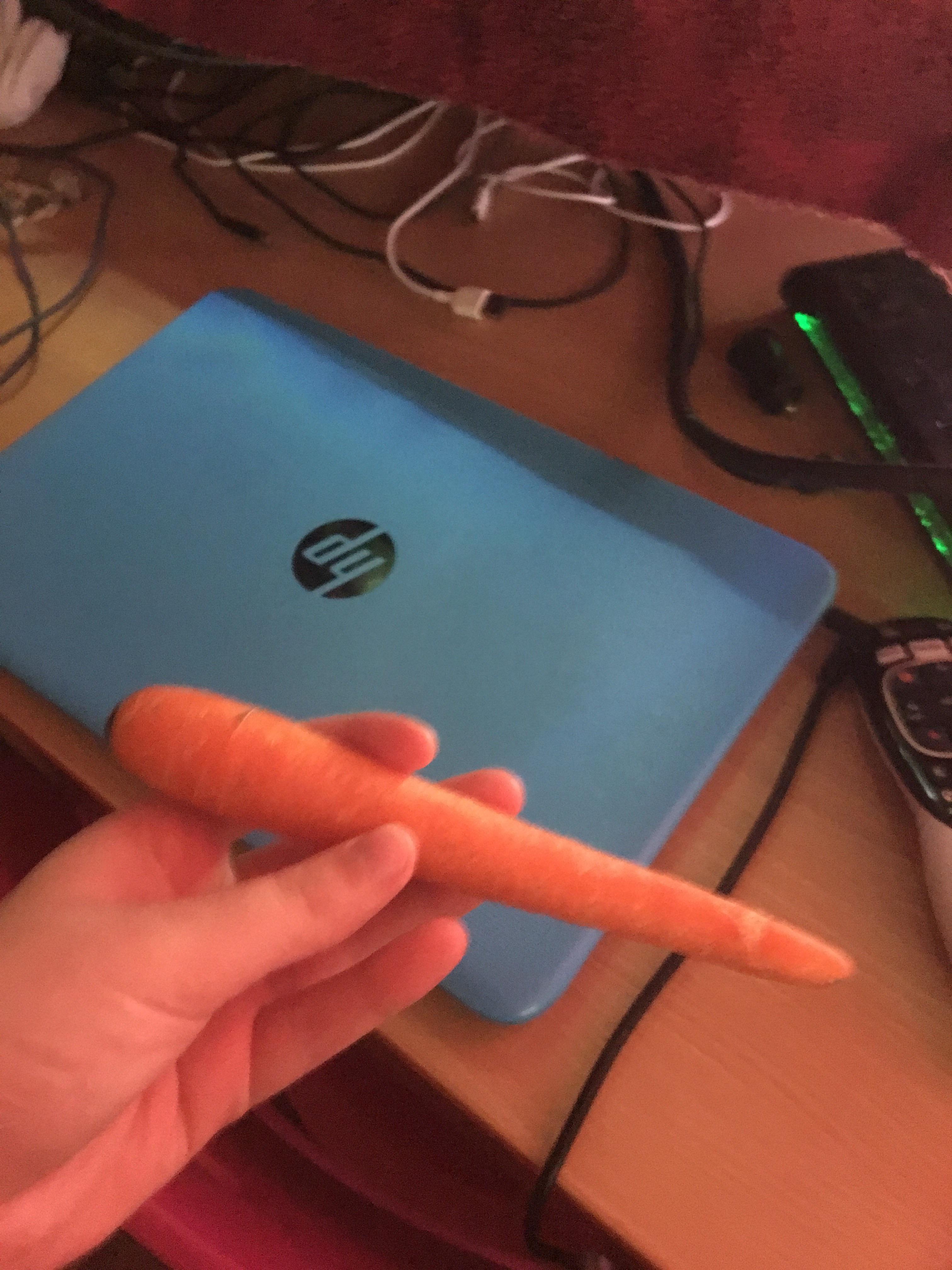 Can mystery snails eat carrots? r/AquaticSnails