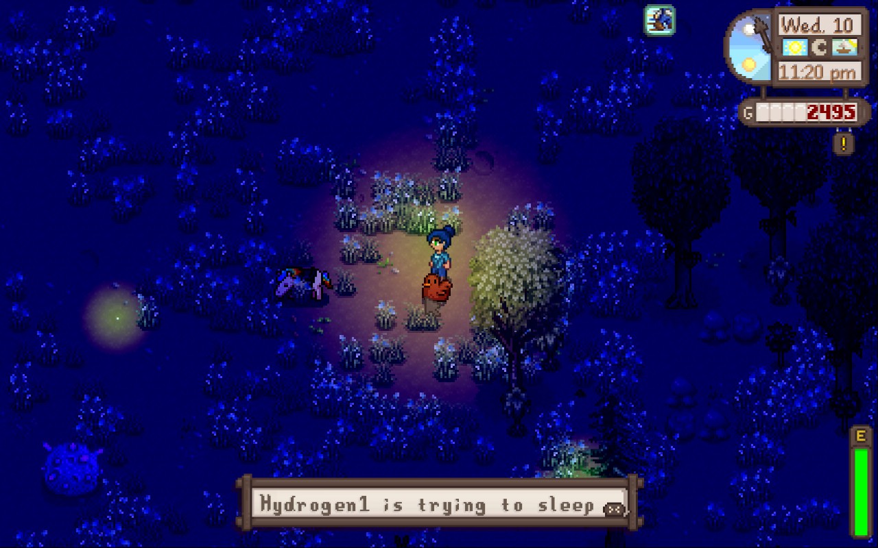 Out here? The coop door is still open, you know . . . r/StardewValley