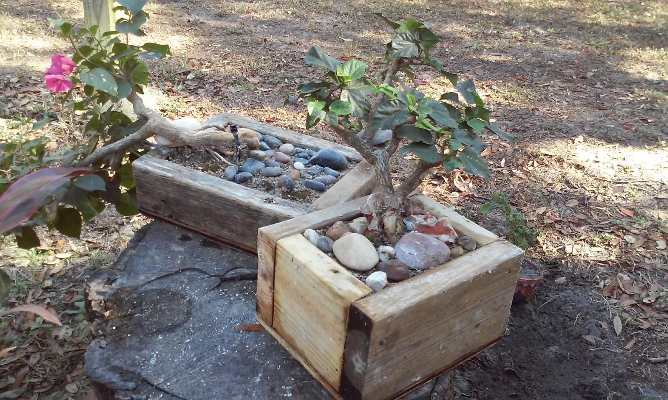 My new DIY wooden boxes! r/Bonsai