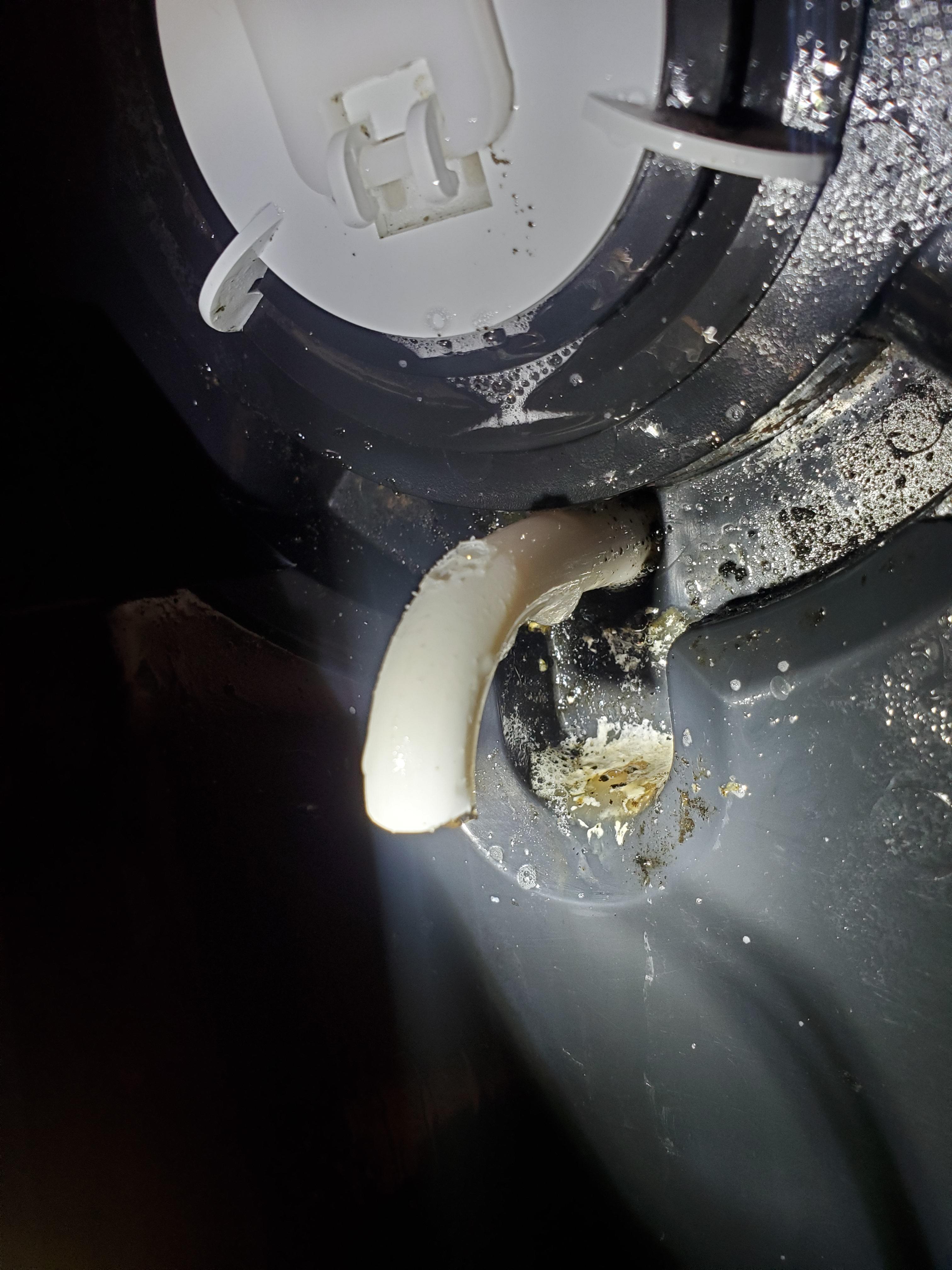 Mold buildup on refrigerator water/ice dispenser r/MakeMeSuffer