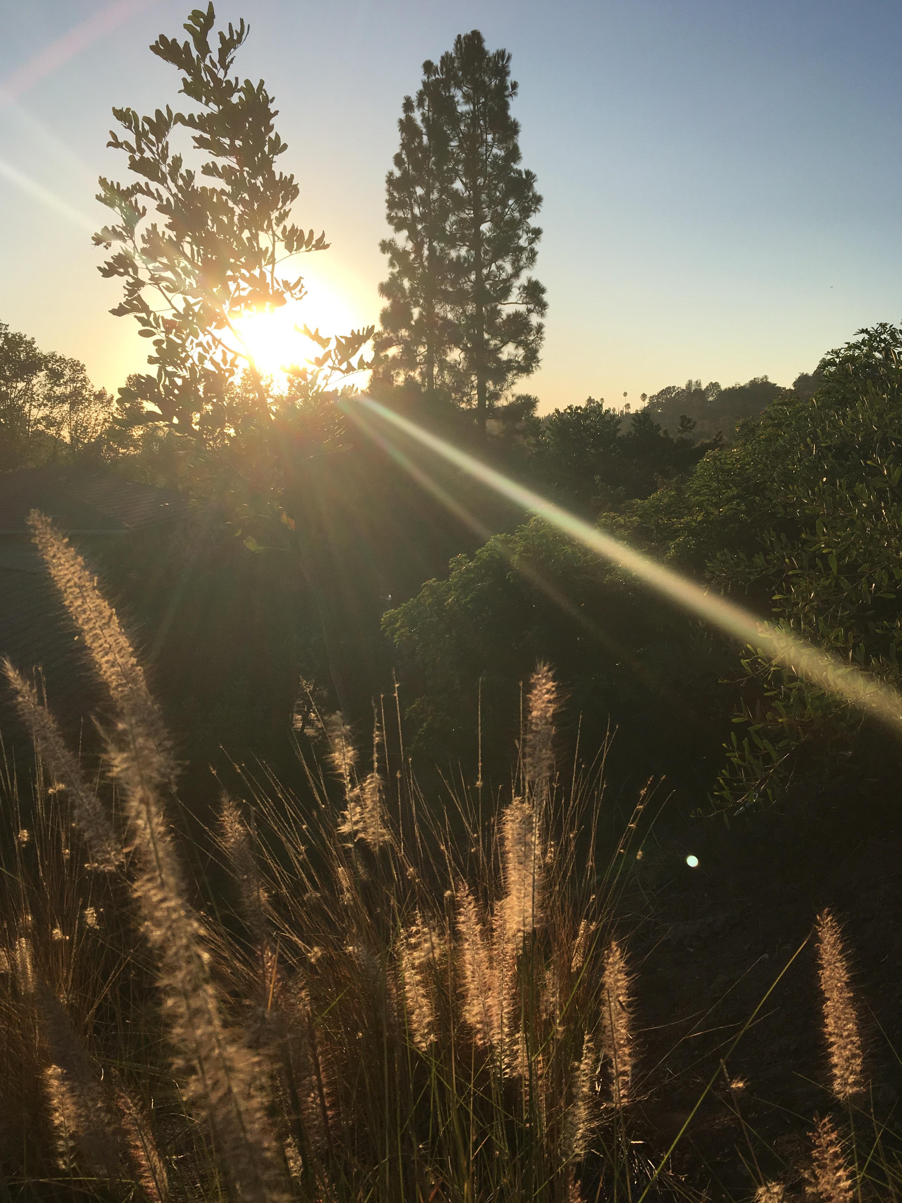 Tustin Hills Beauty [3264x2448] [OC] By Charlie Pawsat r/EarthPorn