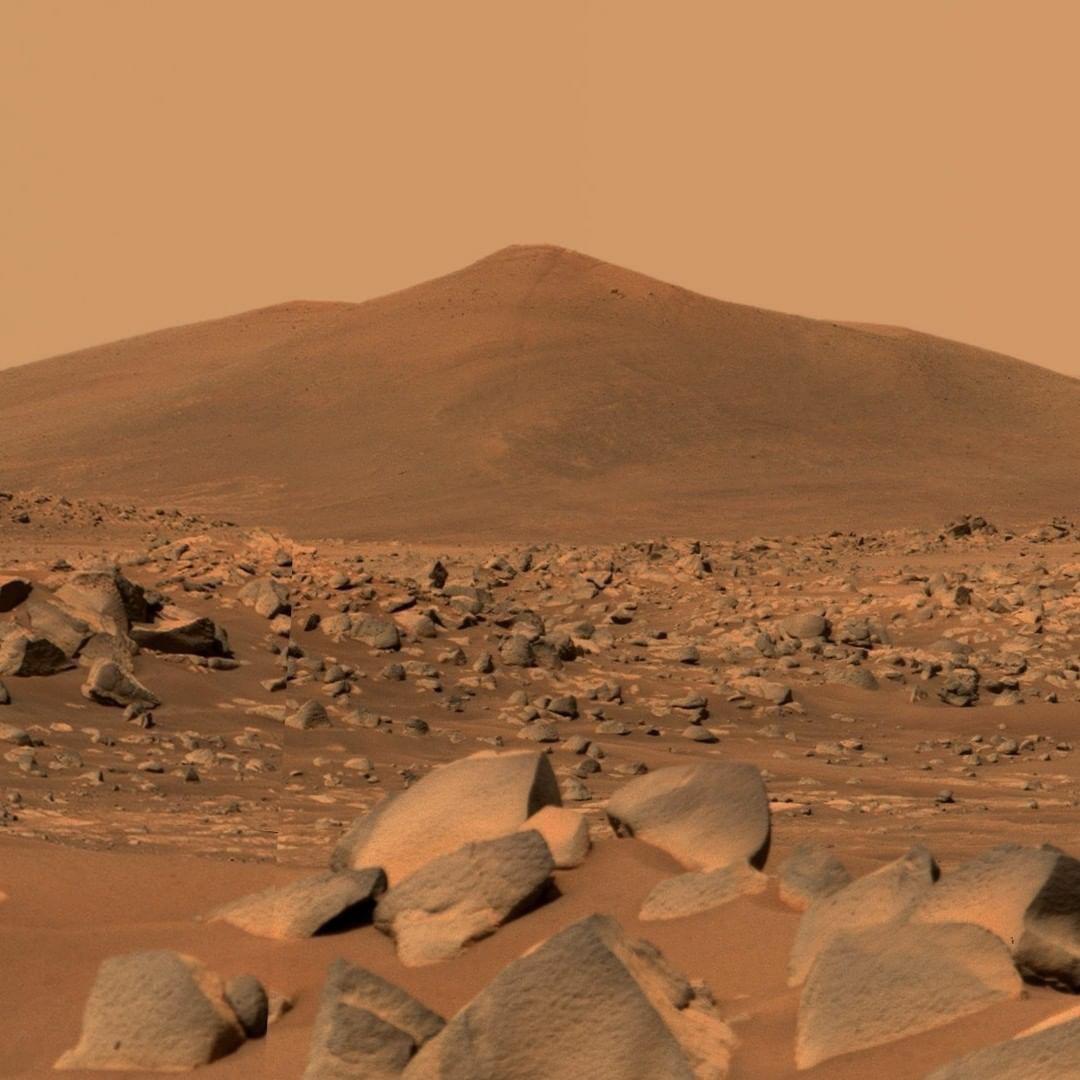 Photo taken by the Mars Perseverance Rover... foreign yet familiar r