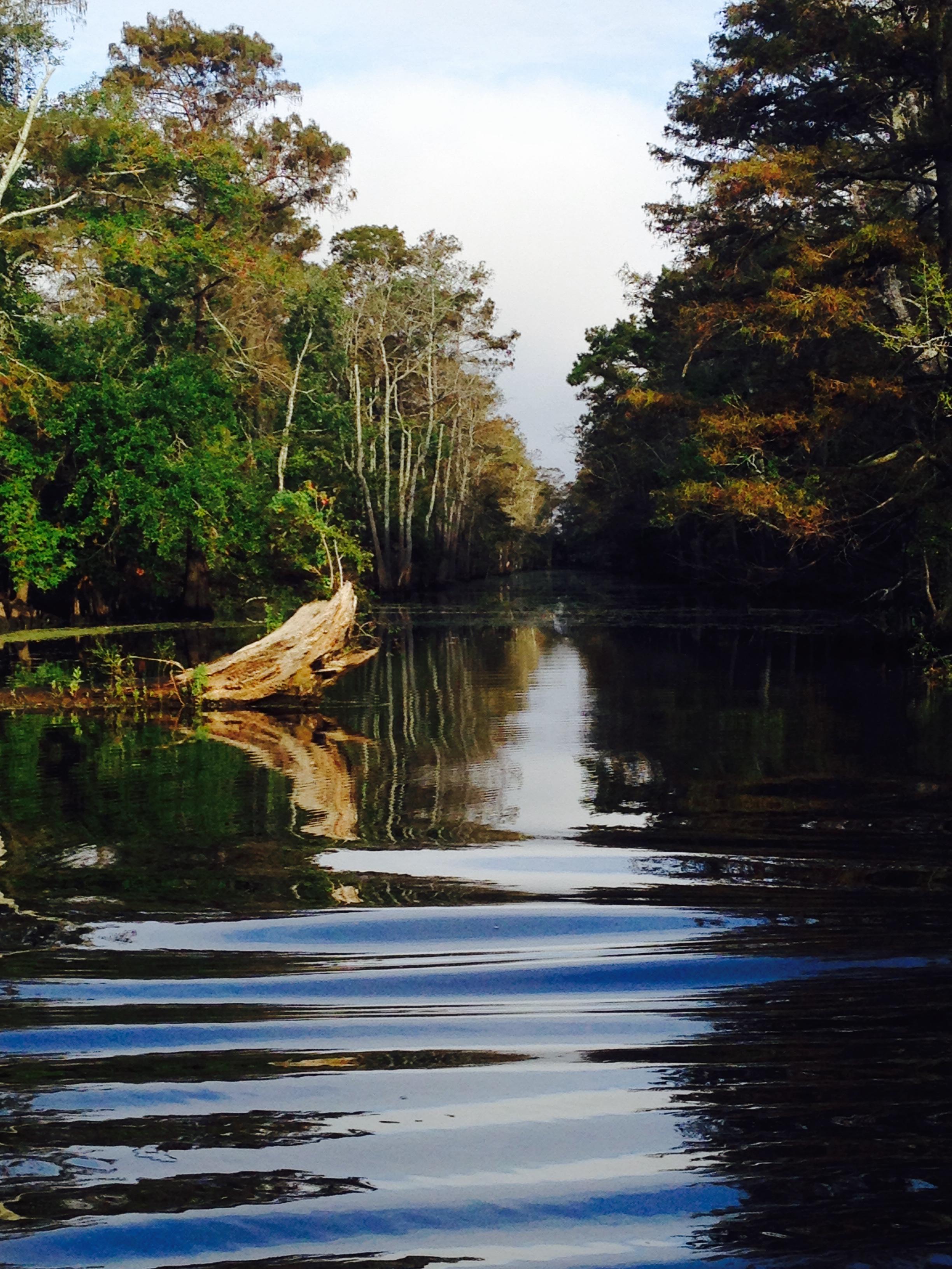Kayaking the Neches River in Texas r/pics