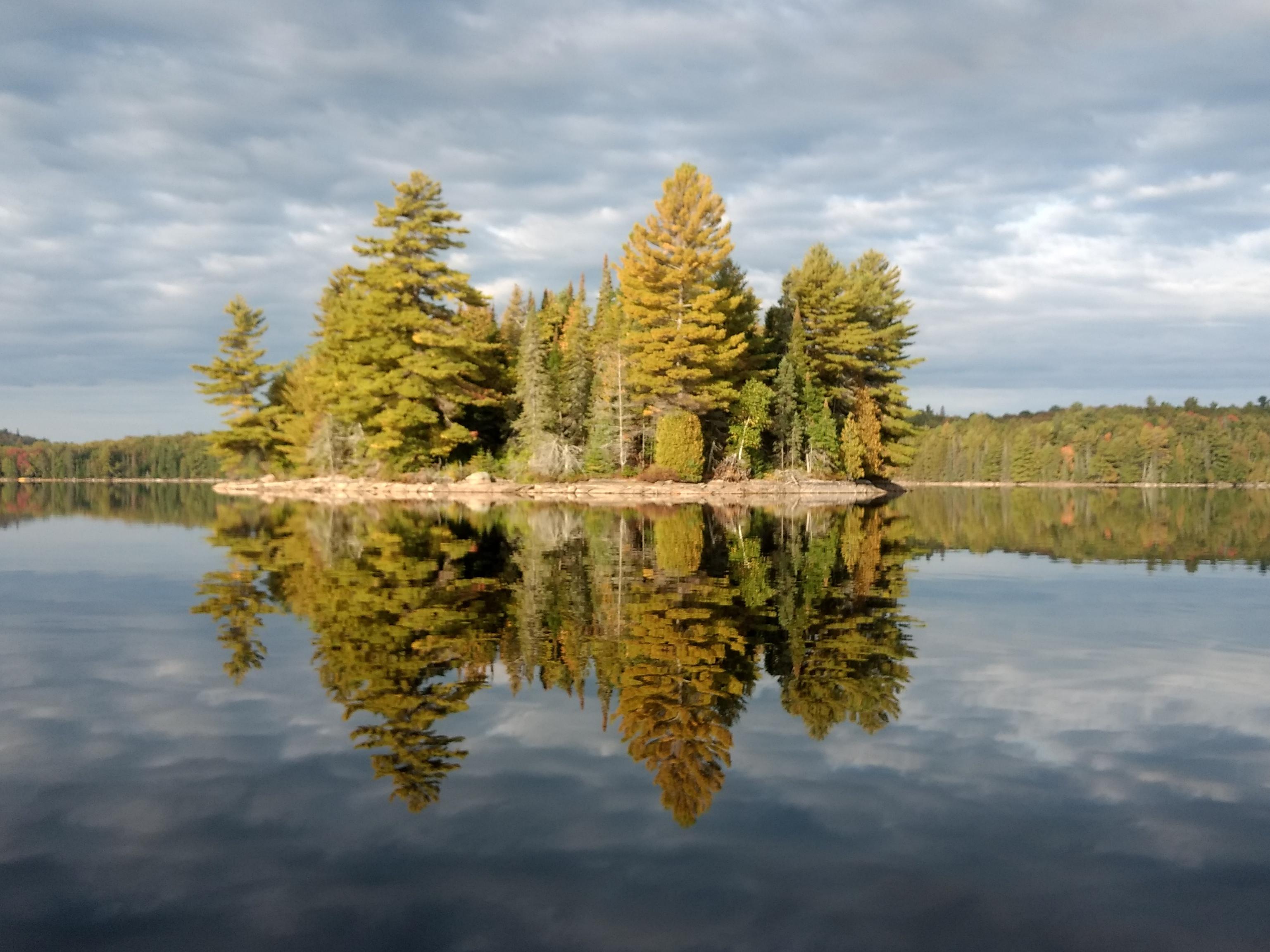 Burnt Island Lake, Algonquin Park, Ontario, Canada r/canoeing