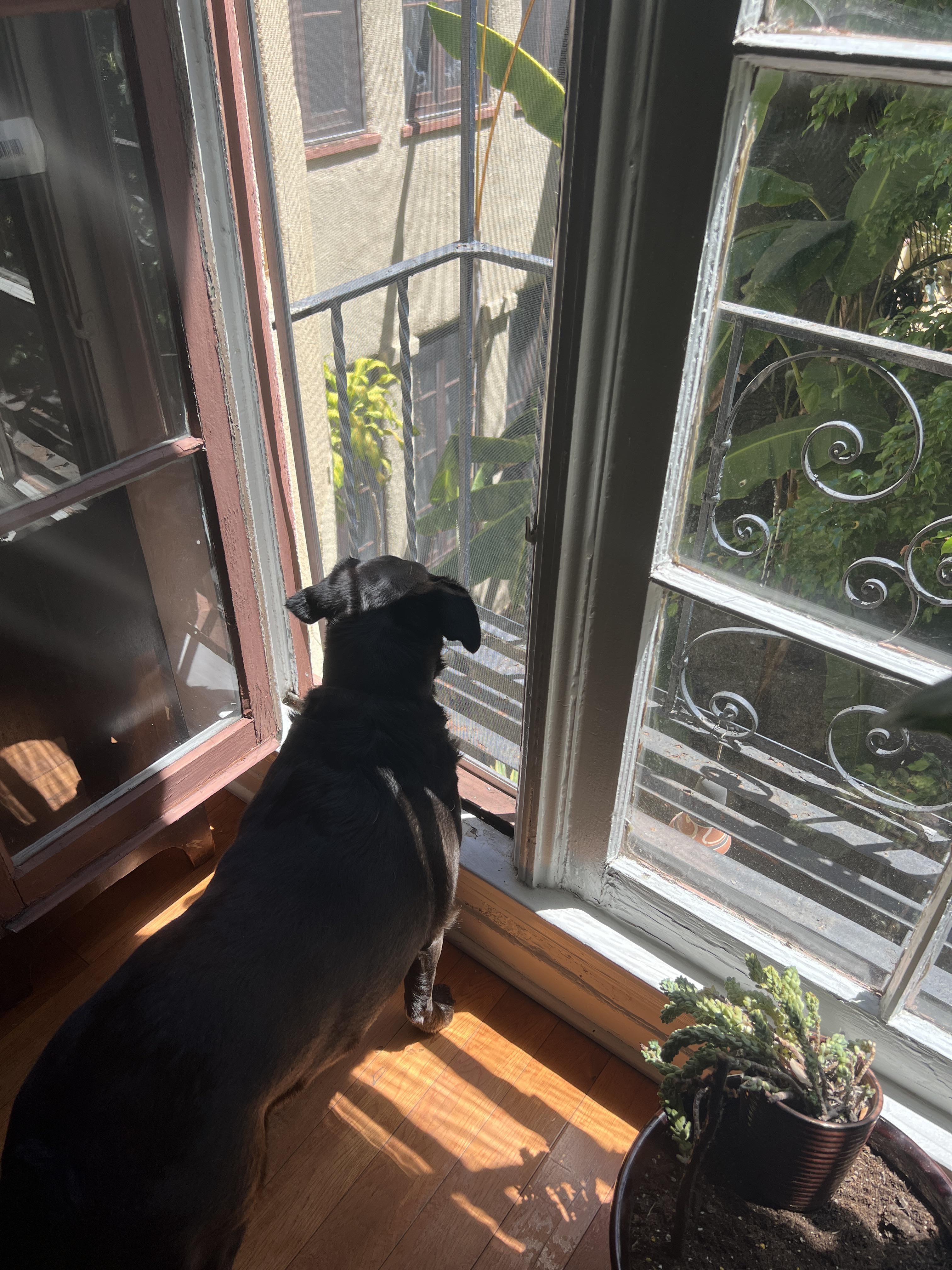 Is this safe to go out on? I just moved into a Los Angeles apartment