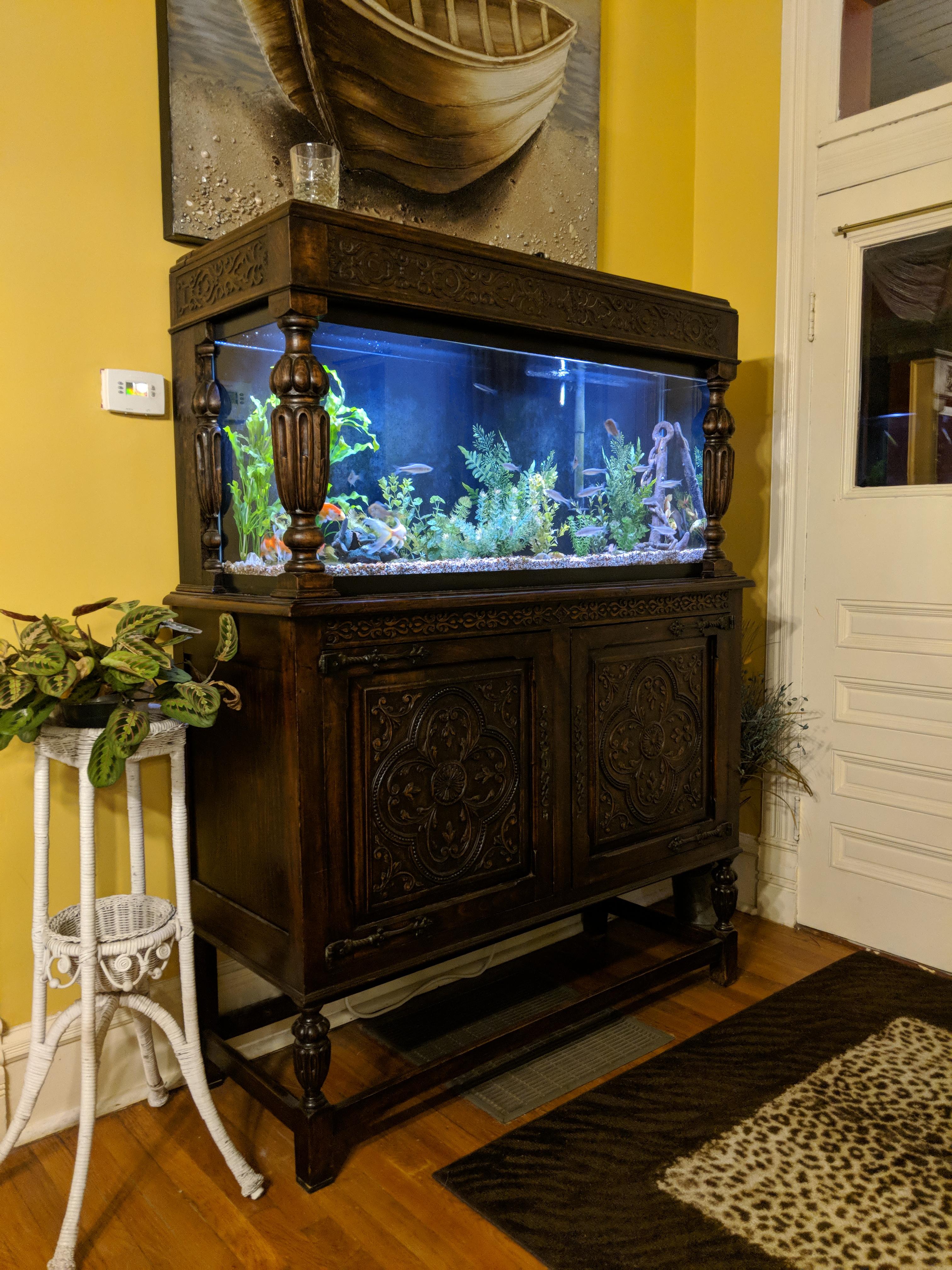 Dad turned an old into an aquarium. r/Aquariums