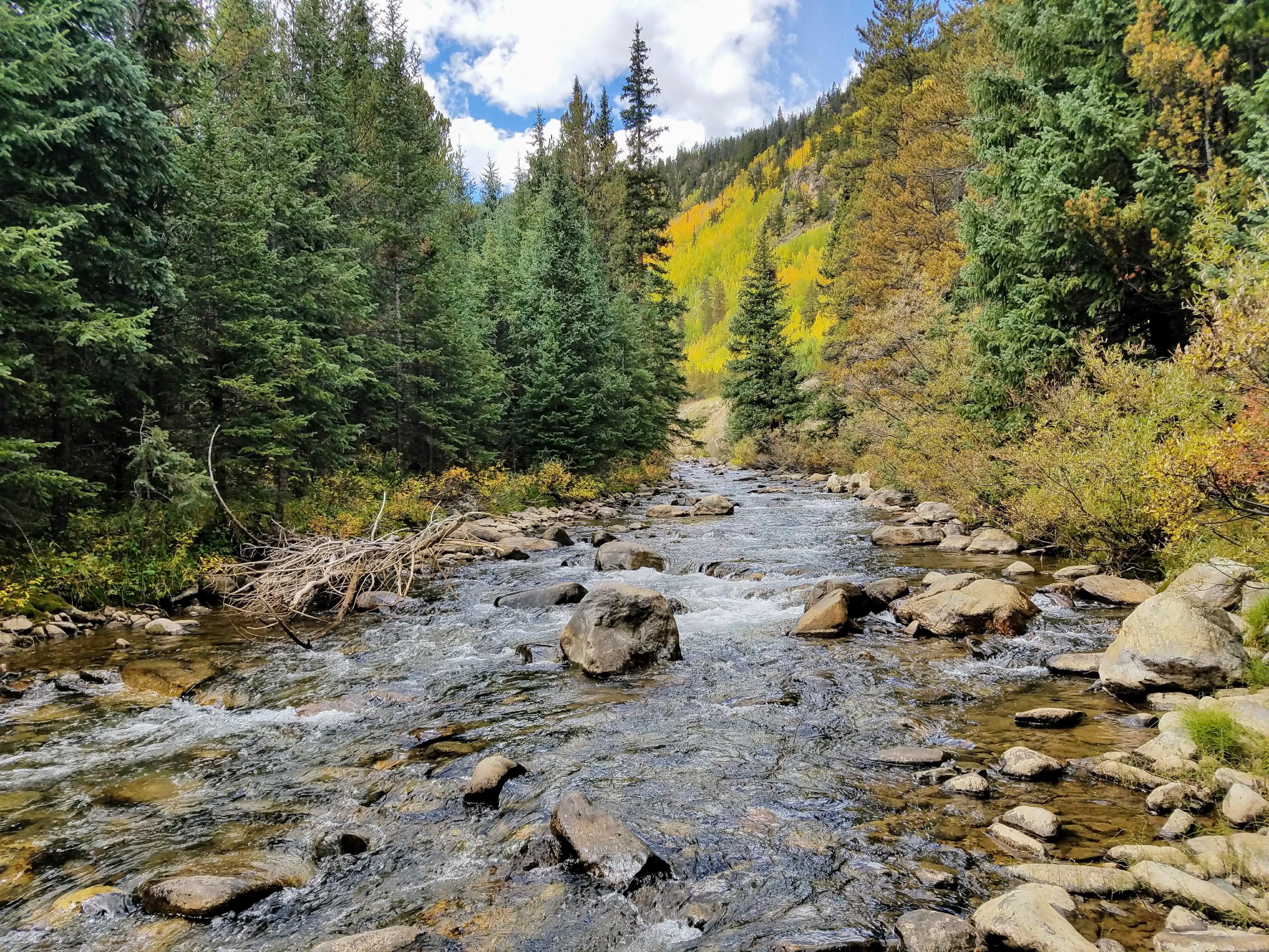 Arkansas River running through San Isabel National Forest in Colorado
