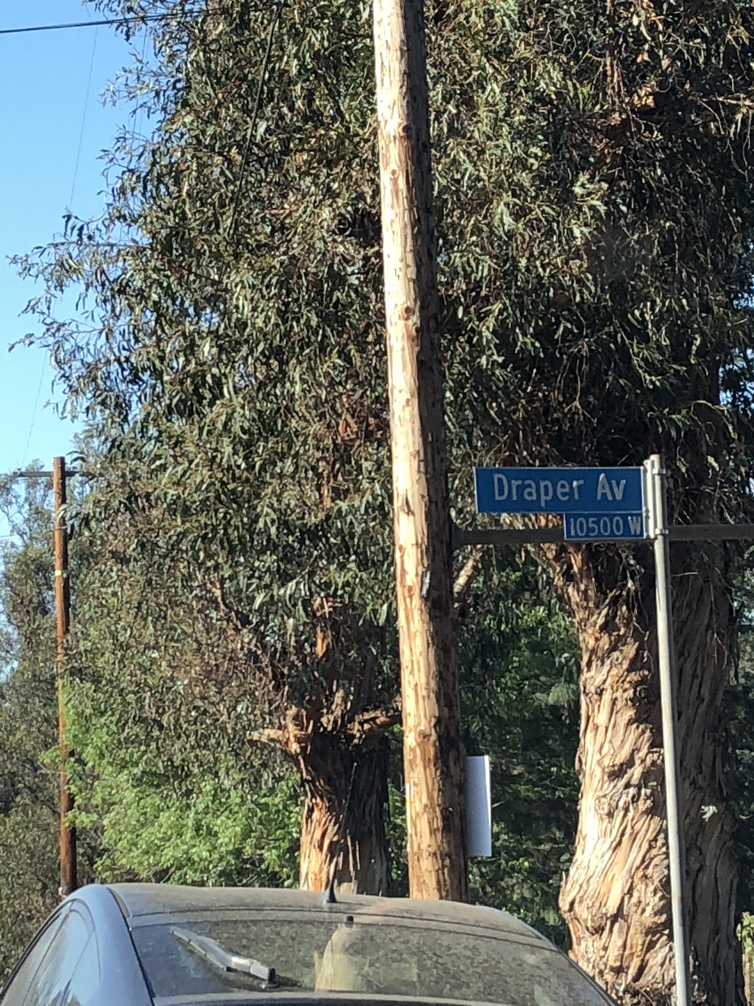 Driving through Cheviot Hills, Los Angeles, California— r/madmen