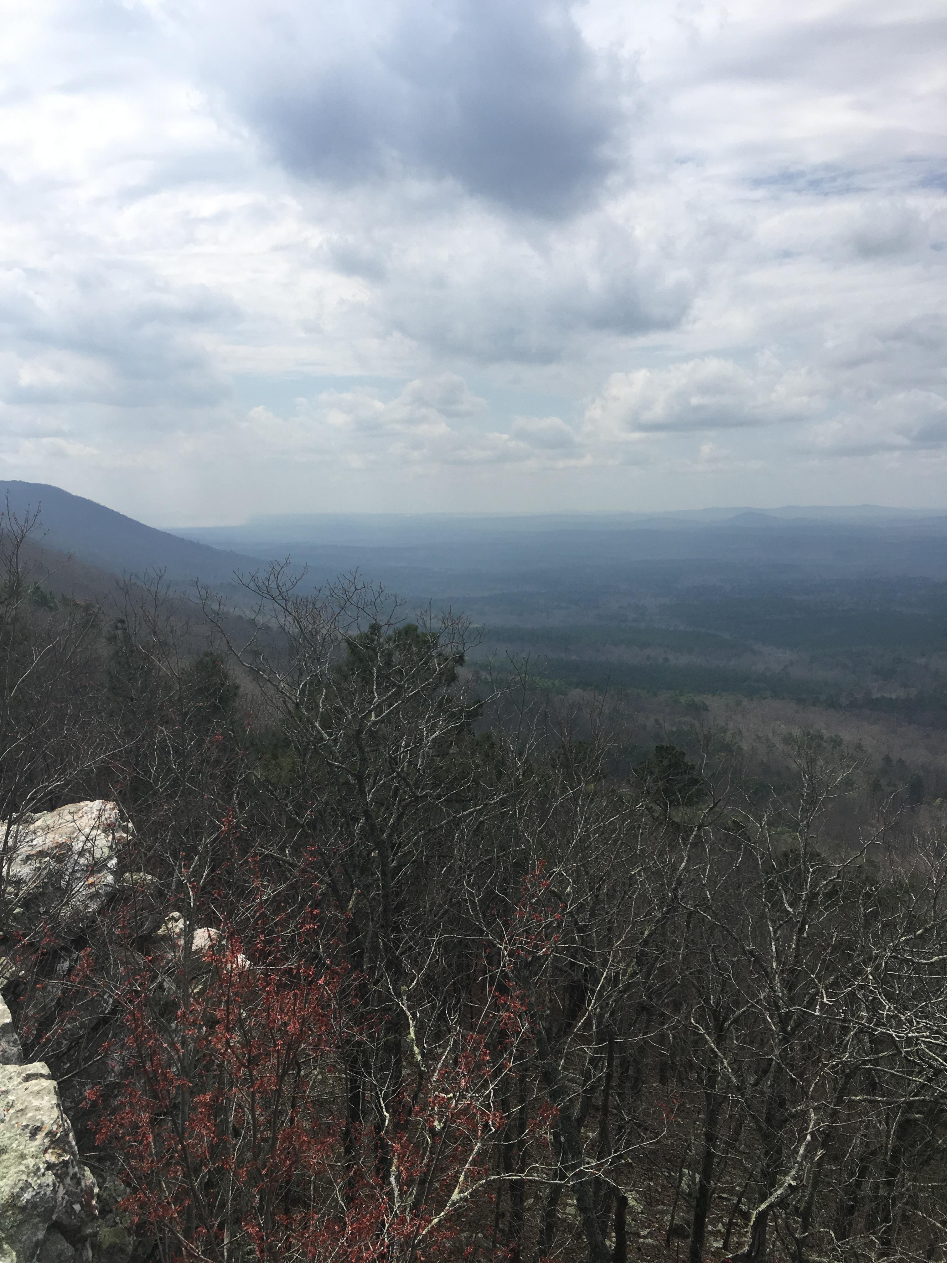 View along the pinhoti (bull gap to porter's gap, alabama) r/trailrunning